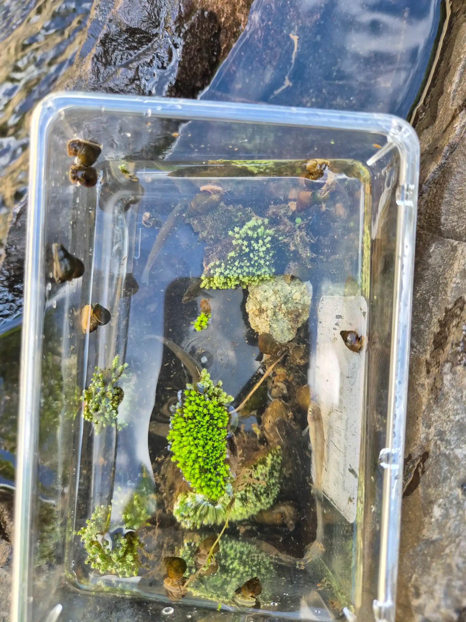 크루톡 이미지 2