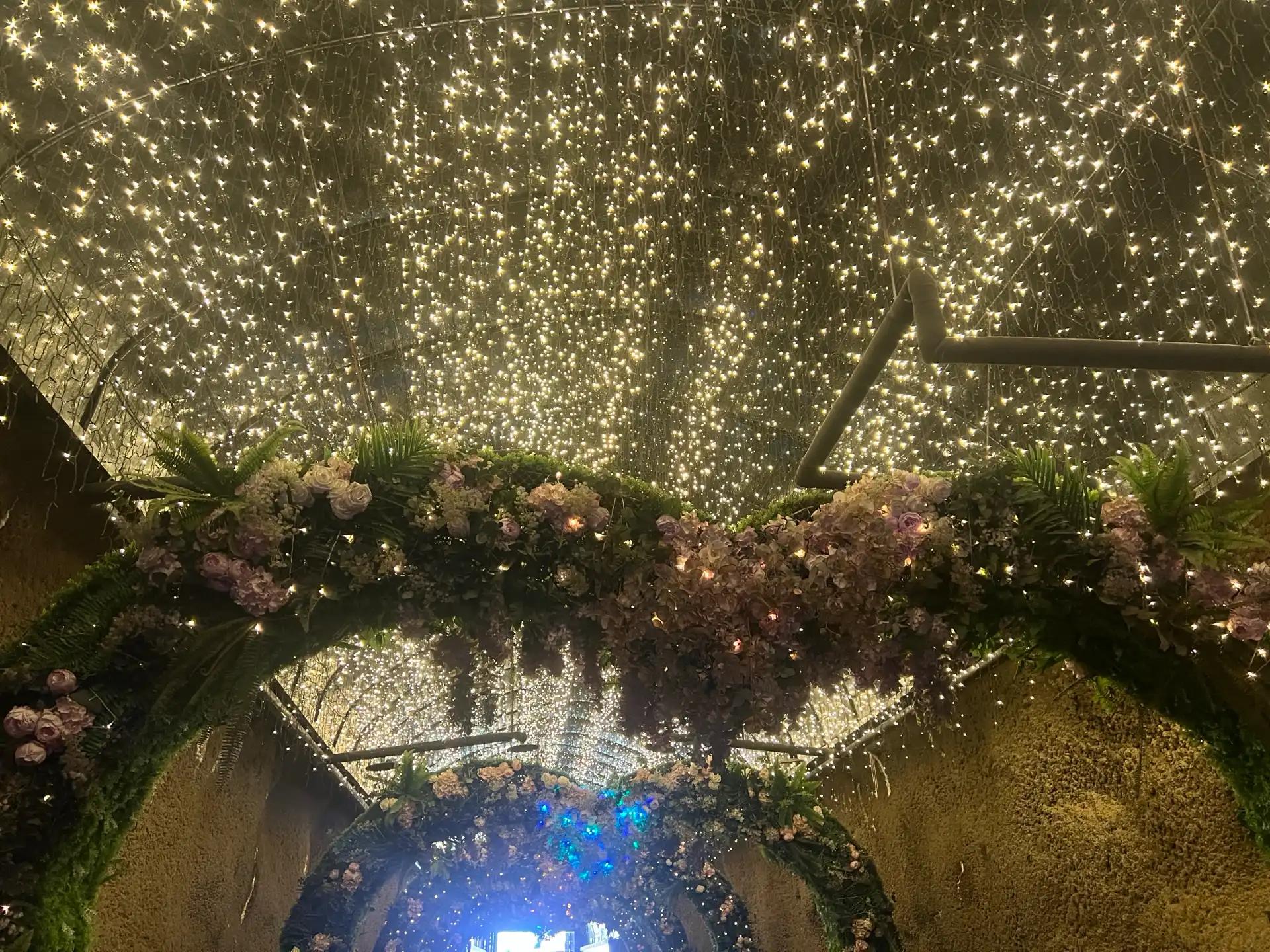 크루톡 이미지