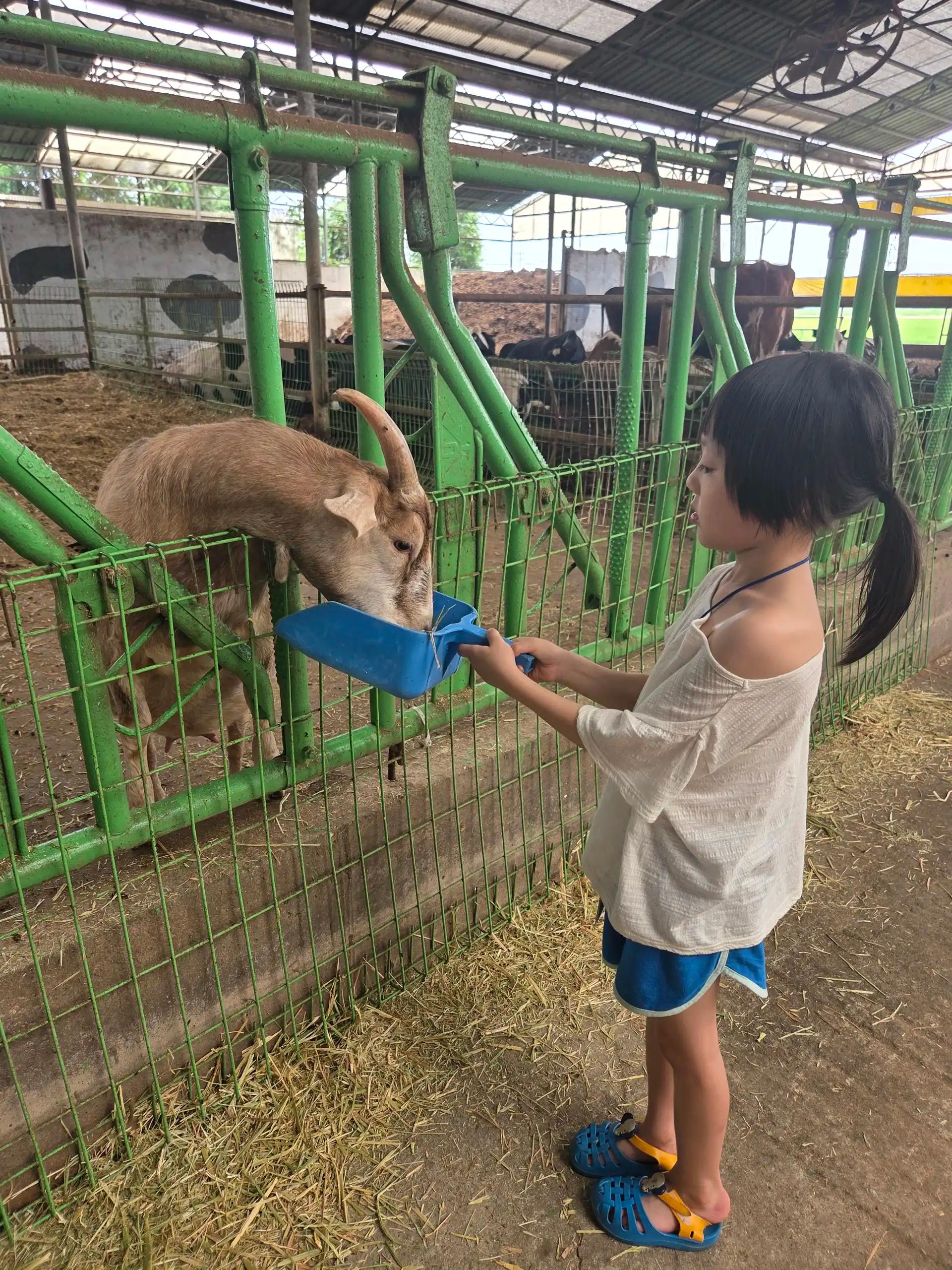 크루톡 이미지