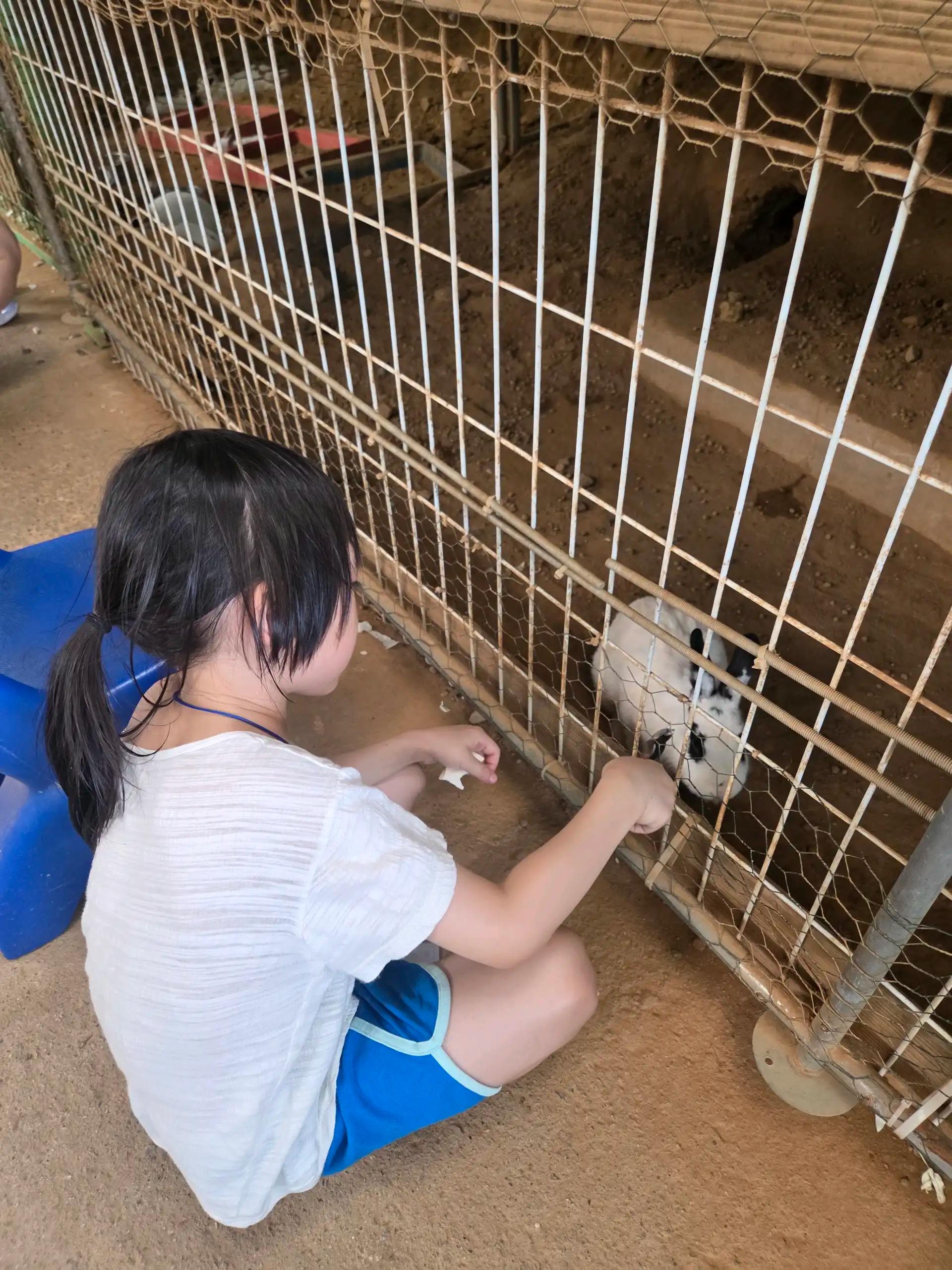 크루톡 이미지
