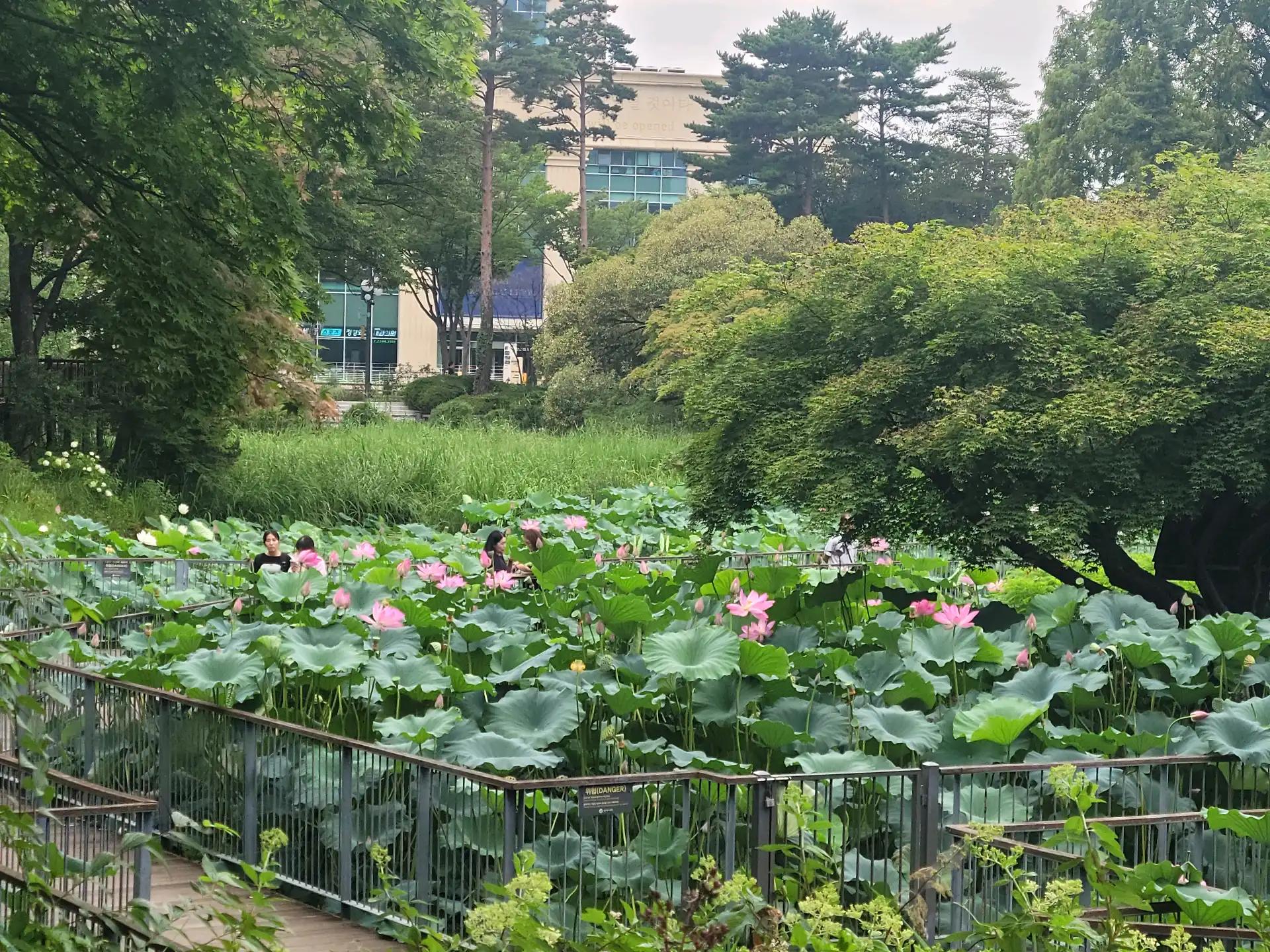 크루톡 이미지