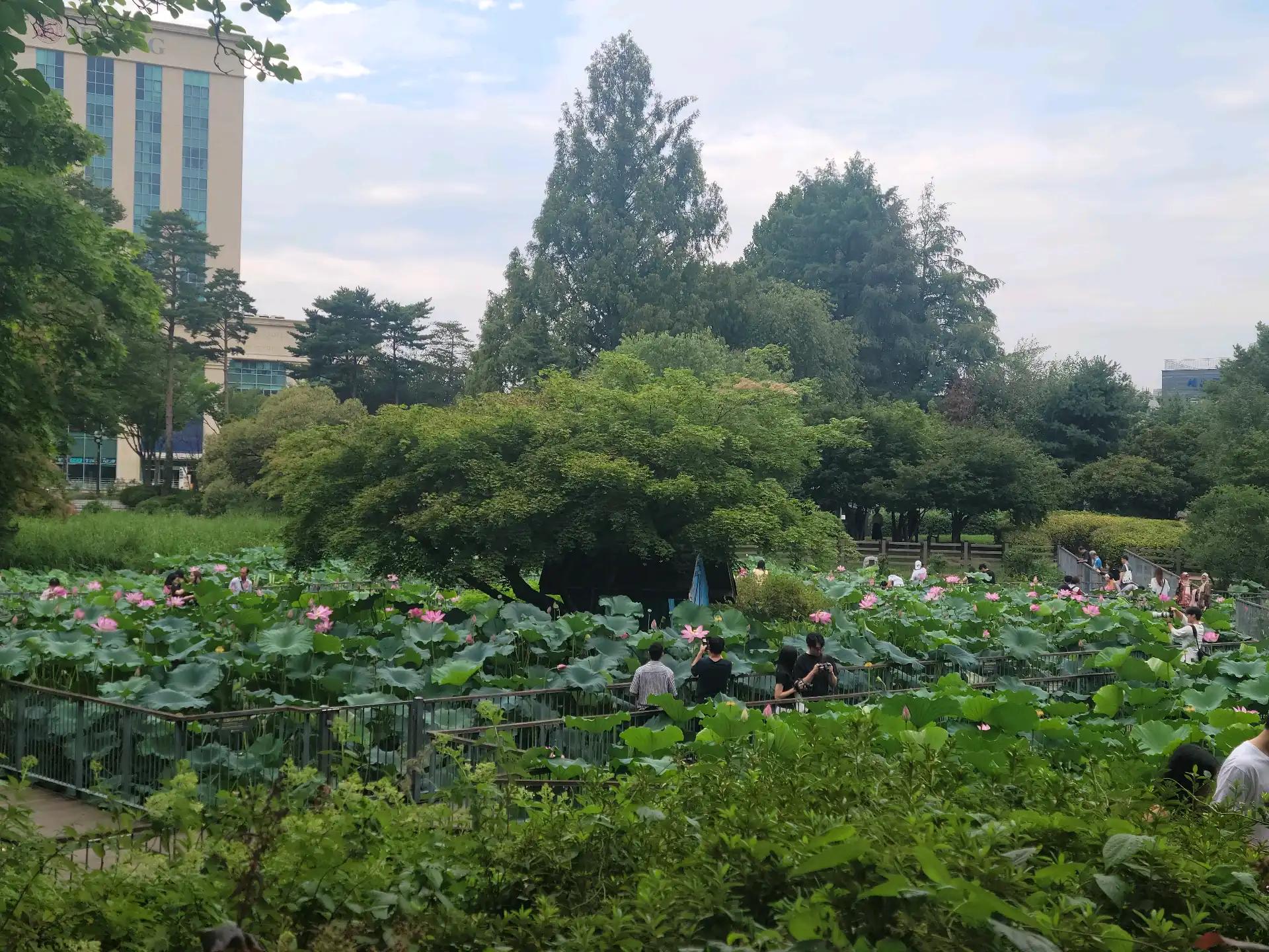 크루톡 이미지