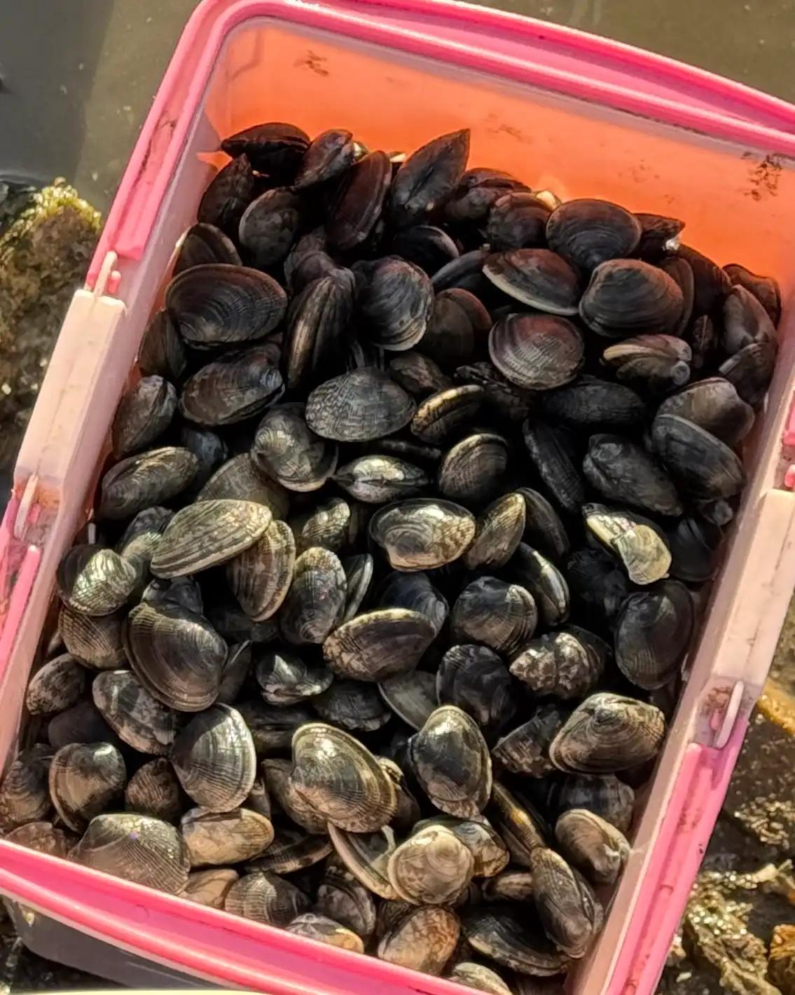 크루톡 이미지