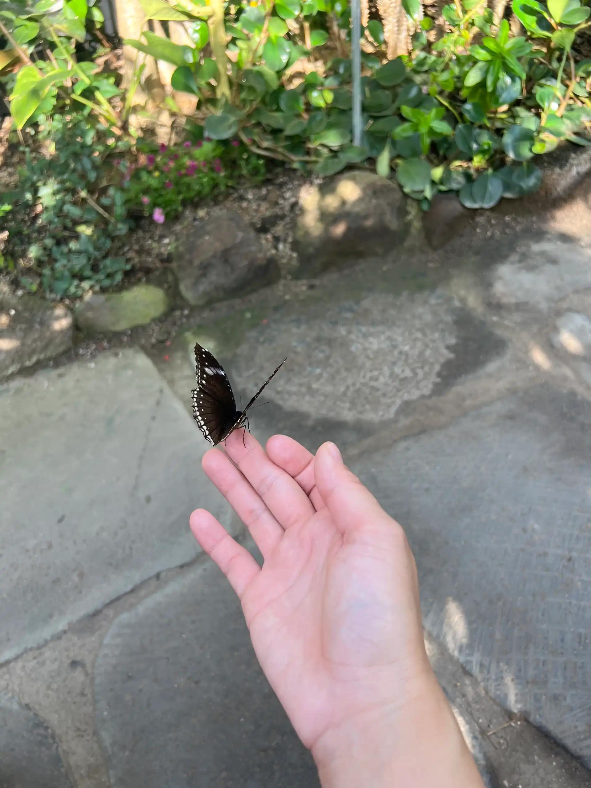 크루톡 이미지