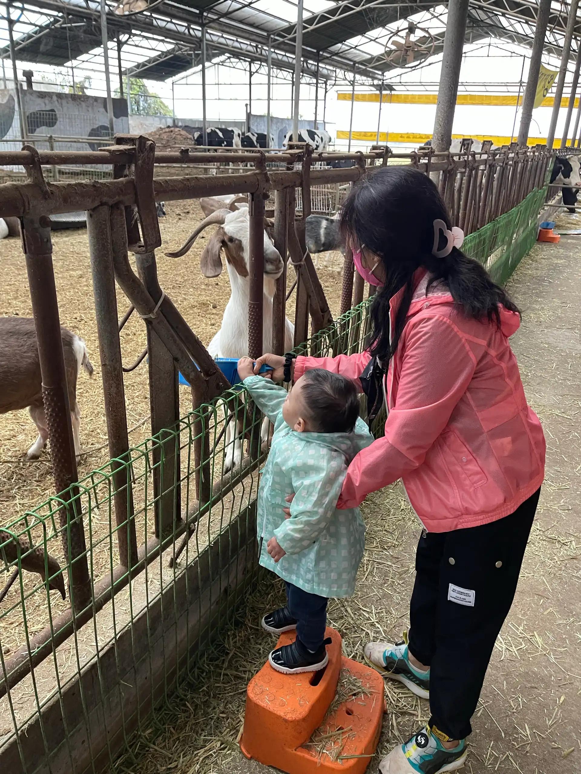 크루톡 이미지 4
