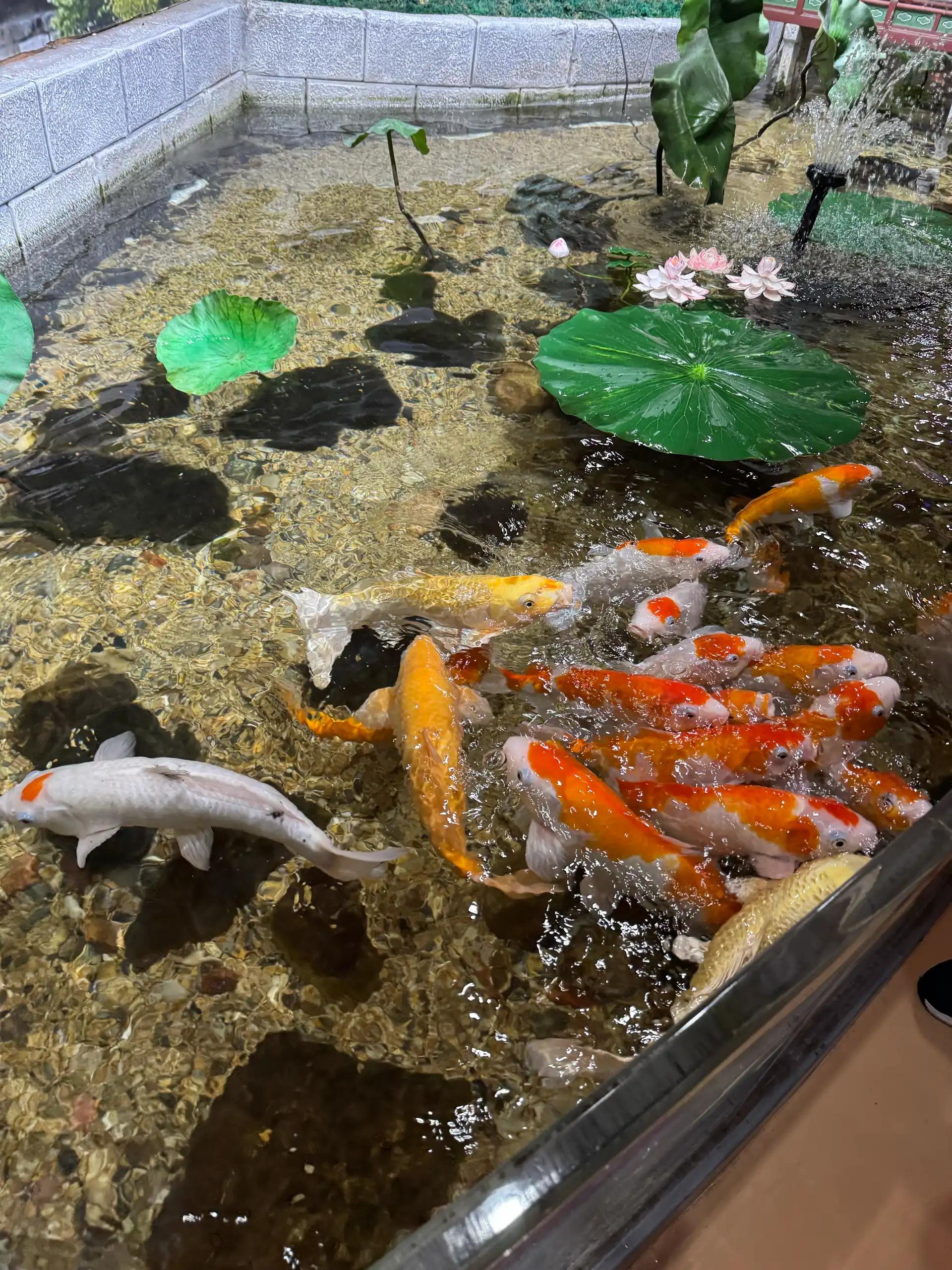 크루톡 이미지