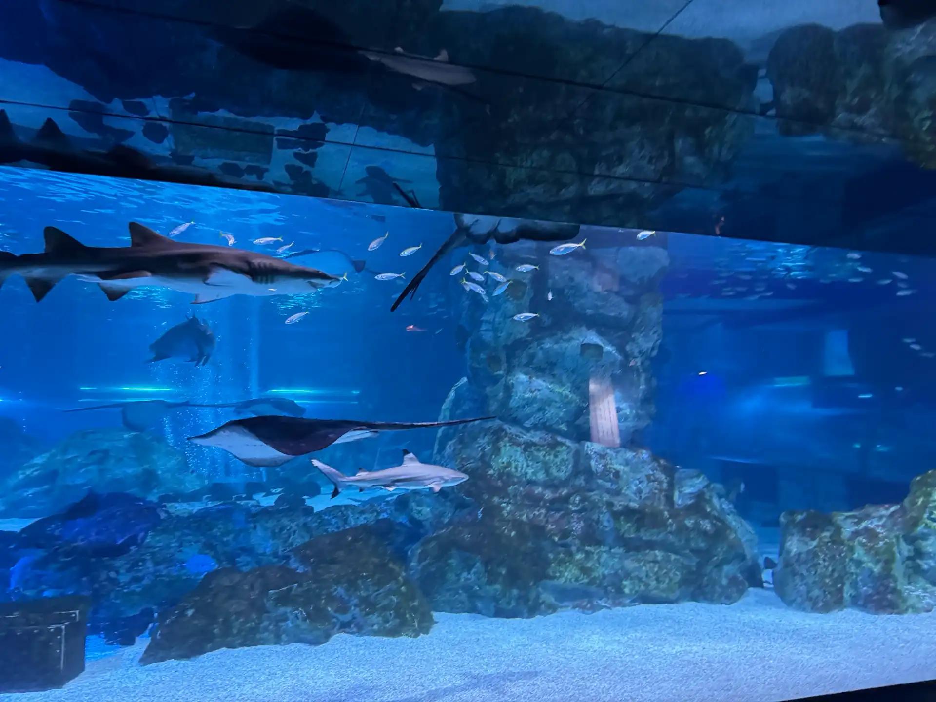 크루톡 이미지