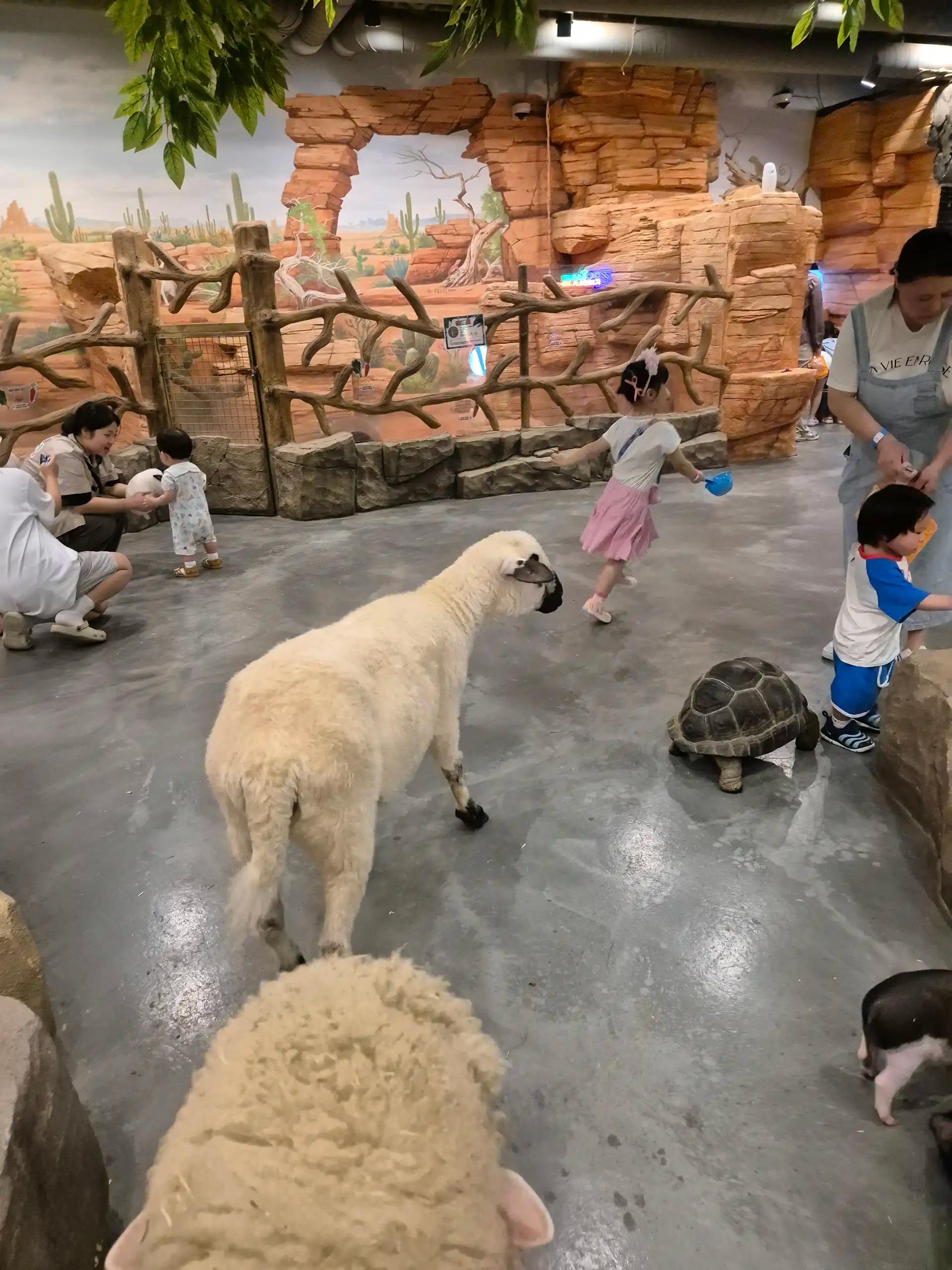 크루톡 이미지