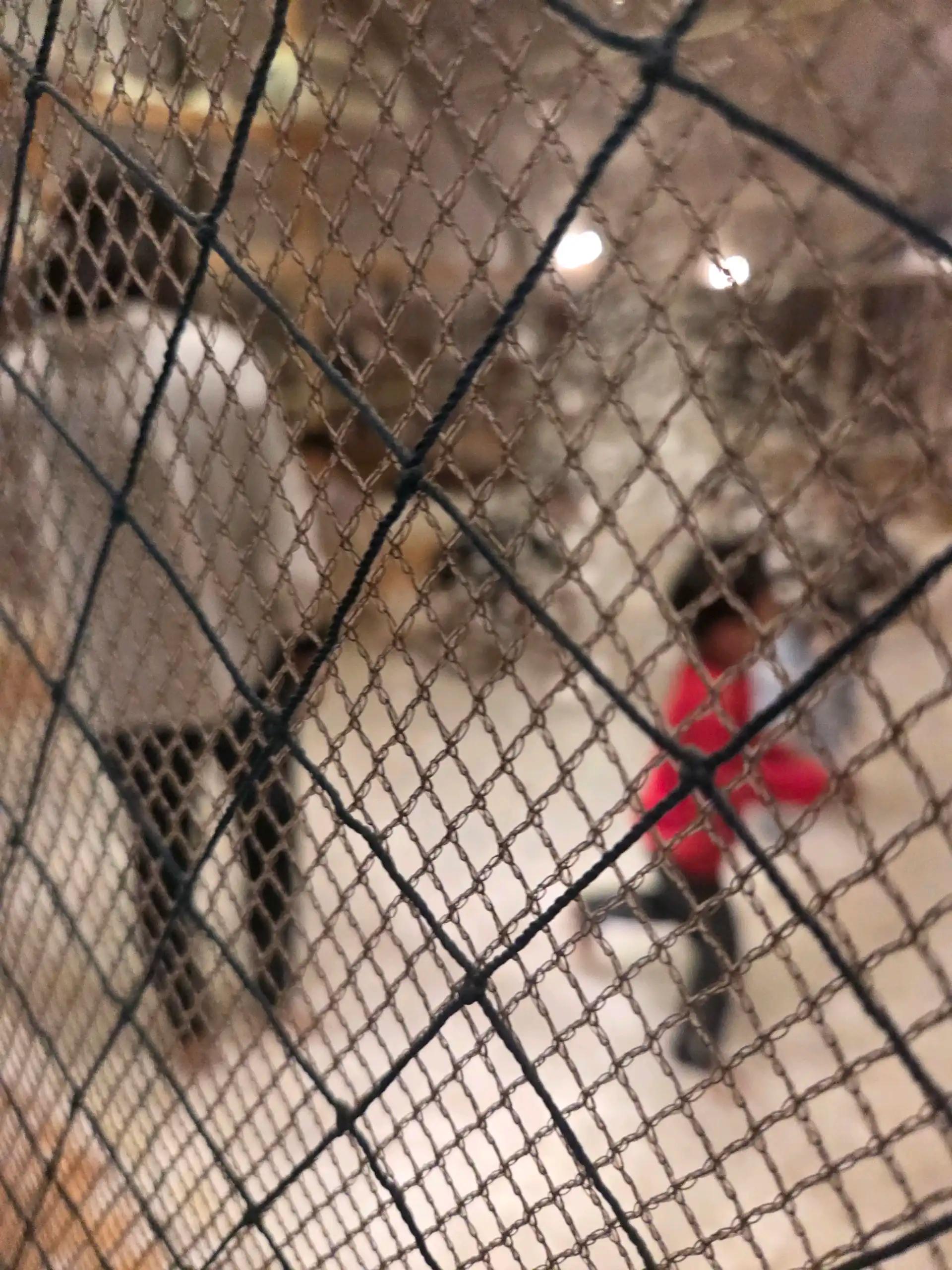 크루톡 이미지 5