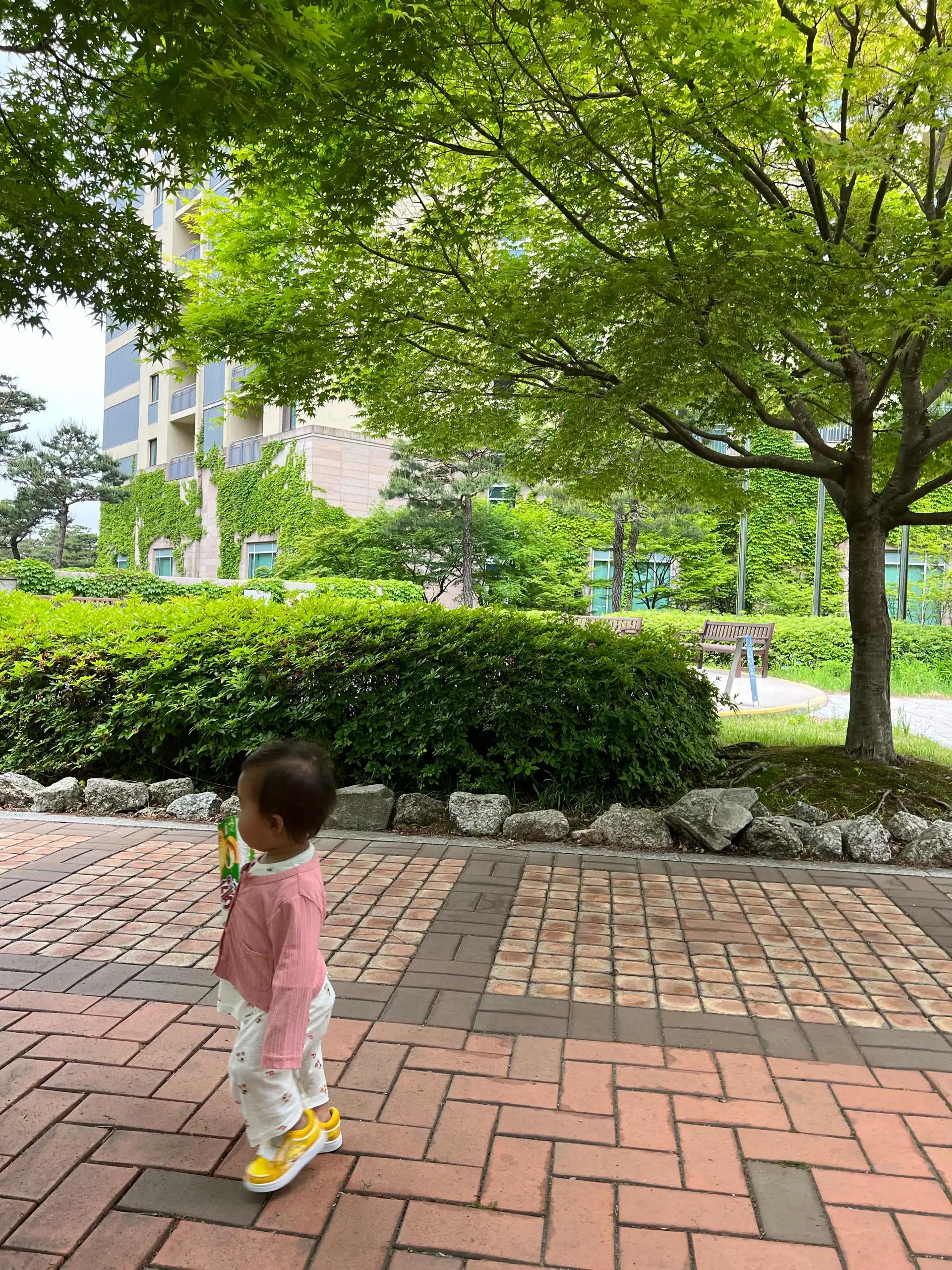 크루톡 이미지