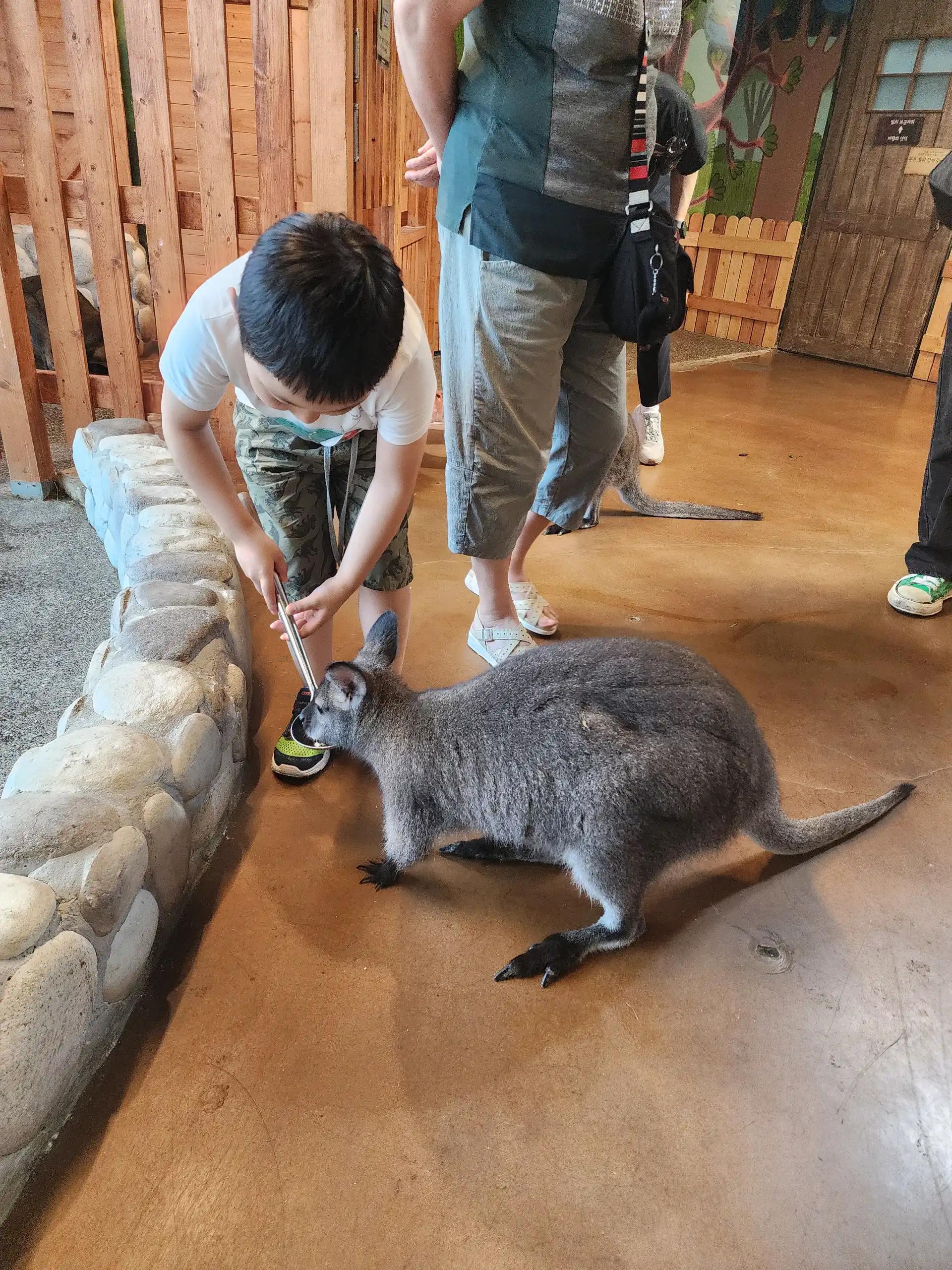 크루톡 이미지 2