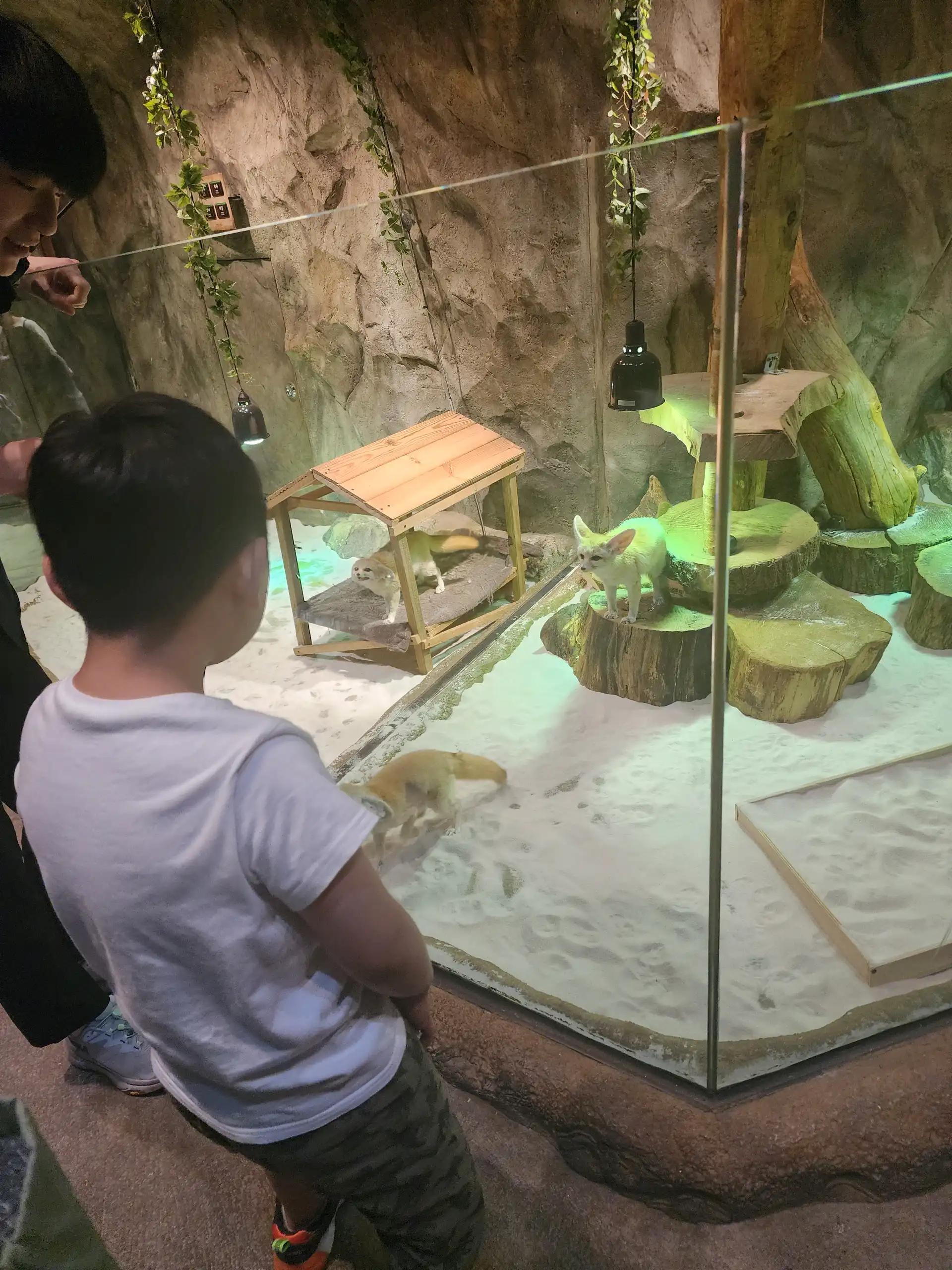 크루톡 이미지 3