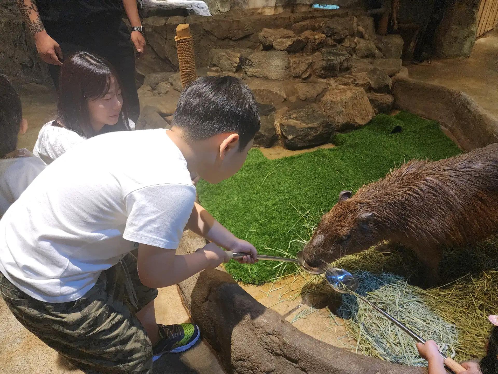 크루톡 이미지 4