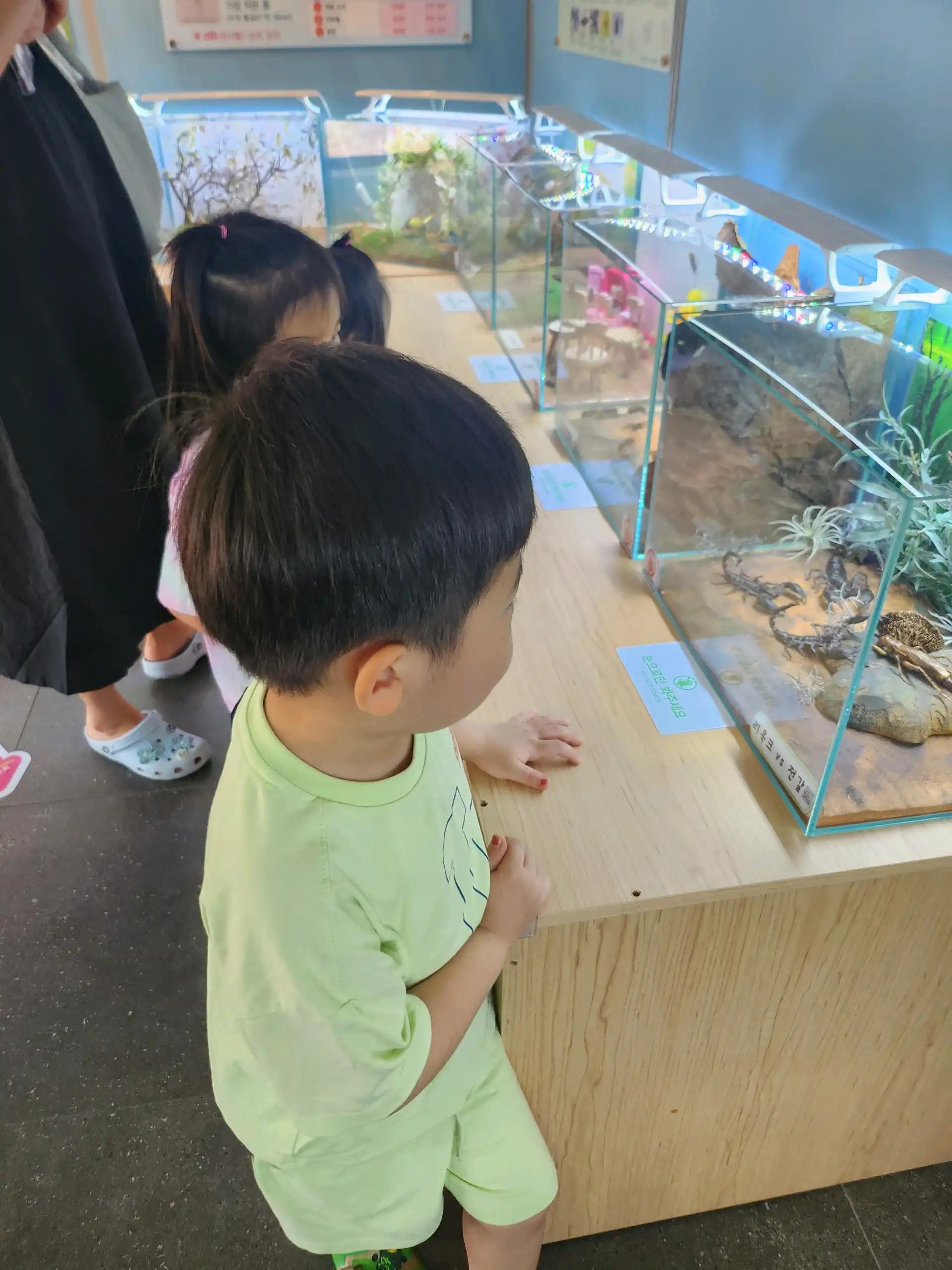 크루톡 이미지