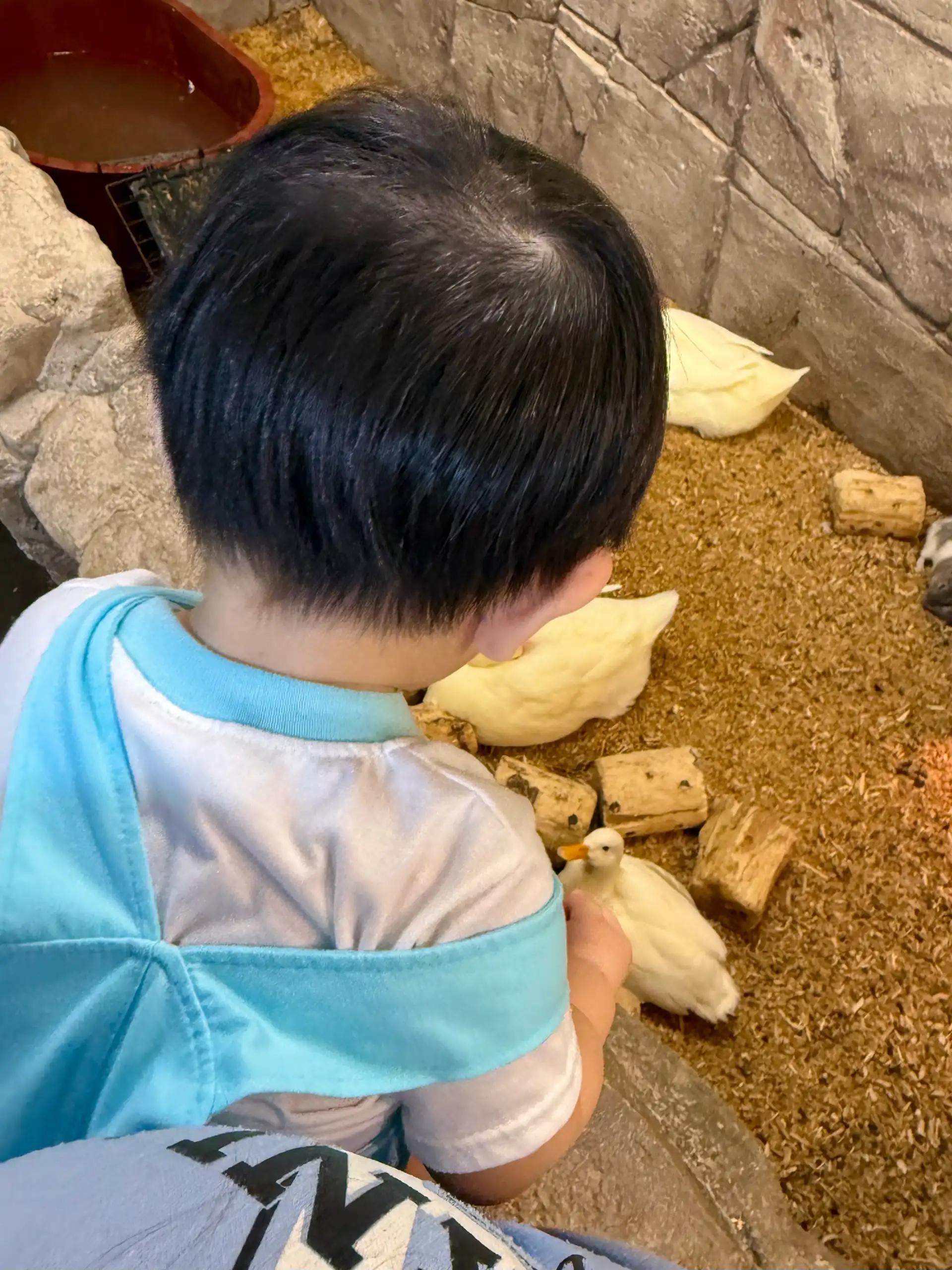 크루톡 이미지