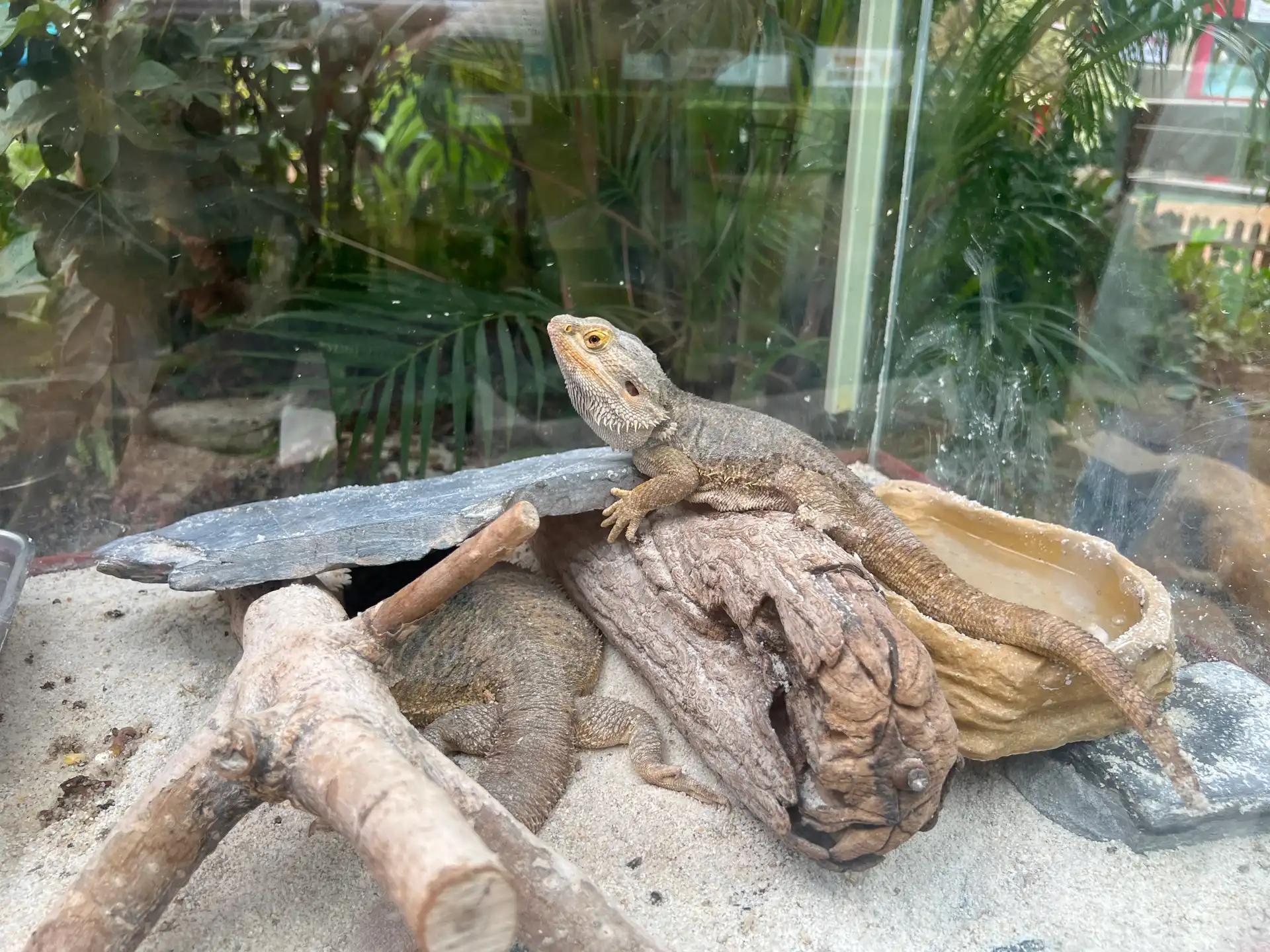 크루톡 이미지