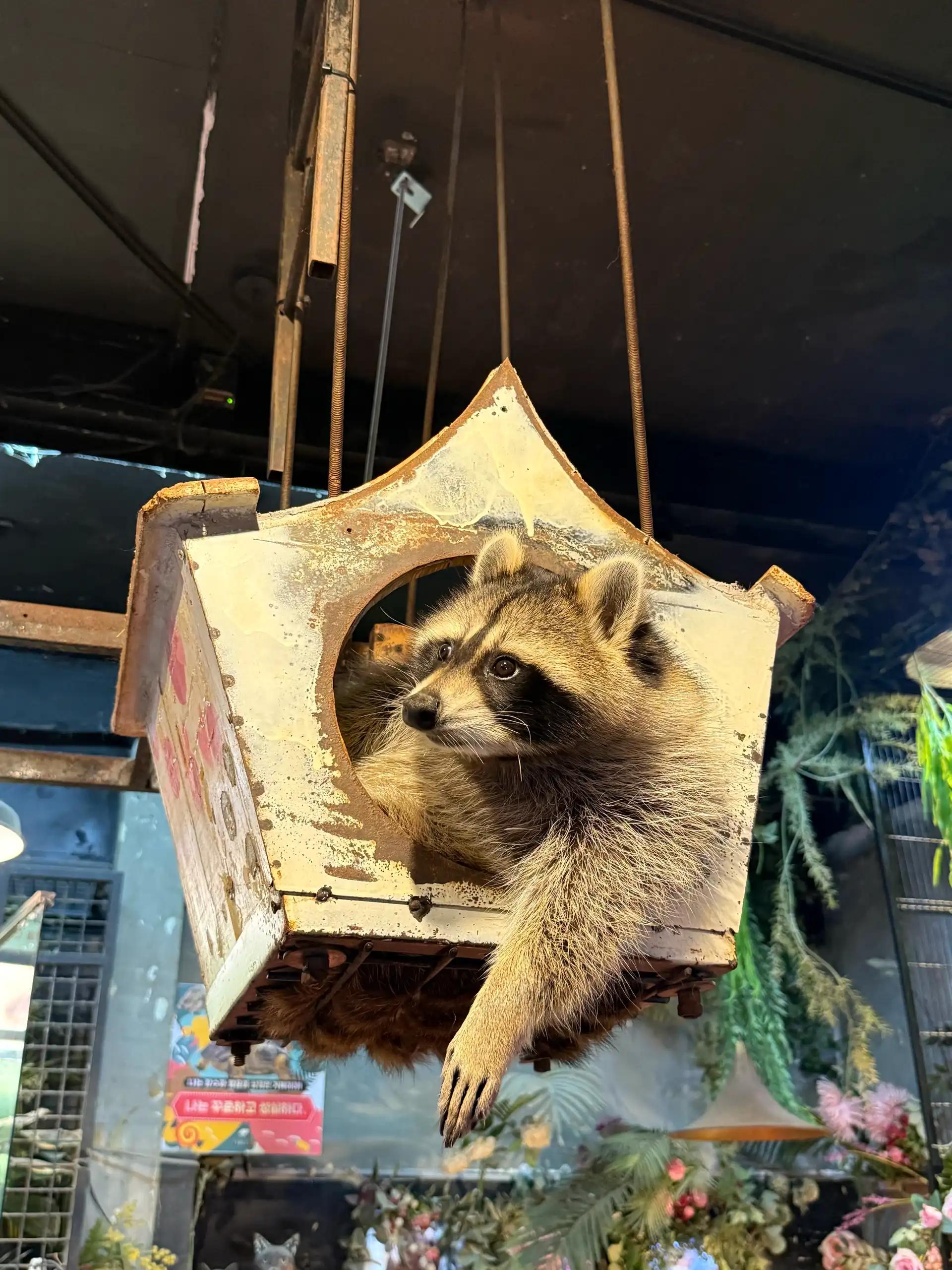 크루톡 이미지 4