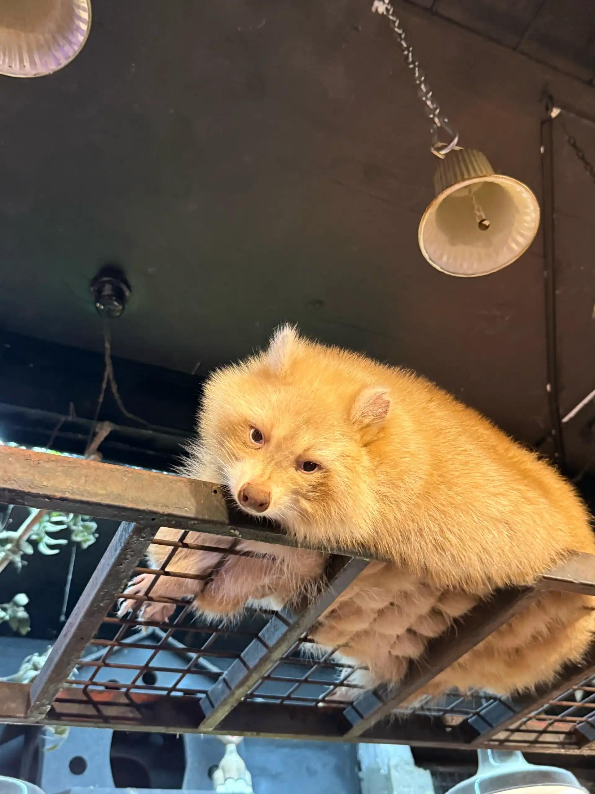 크루톡 이미지 5