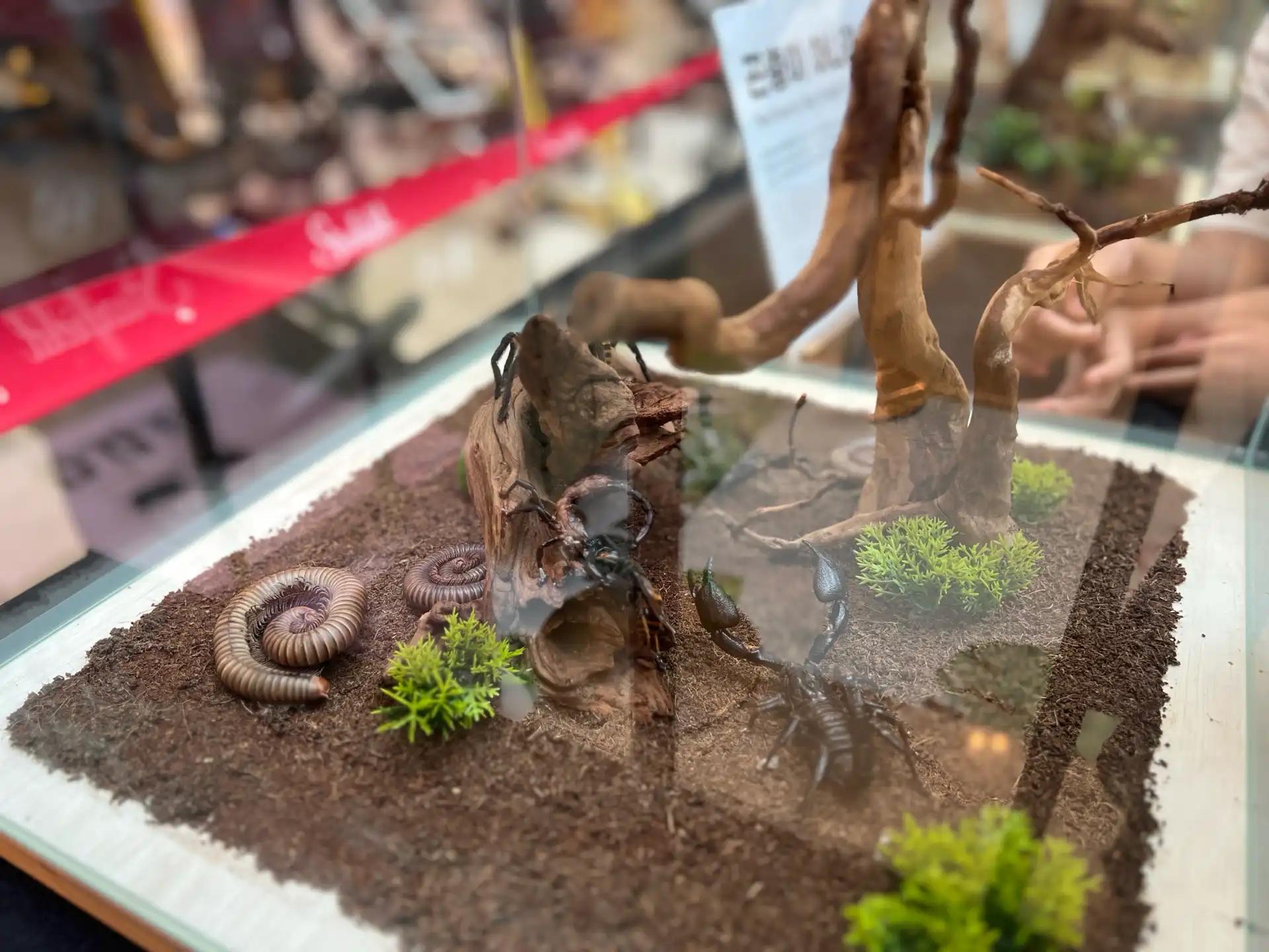 크루톡 이미지 2