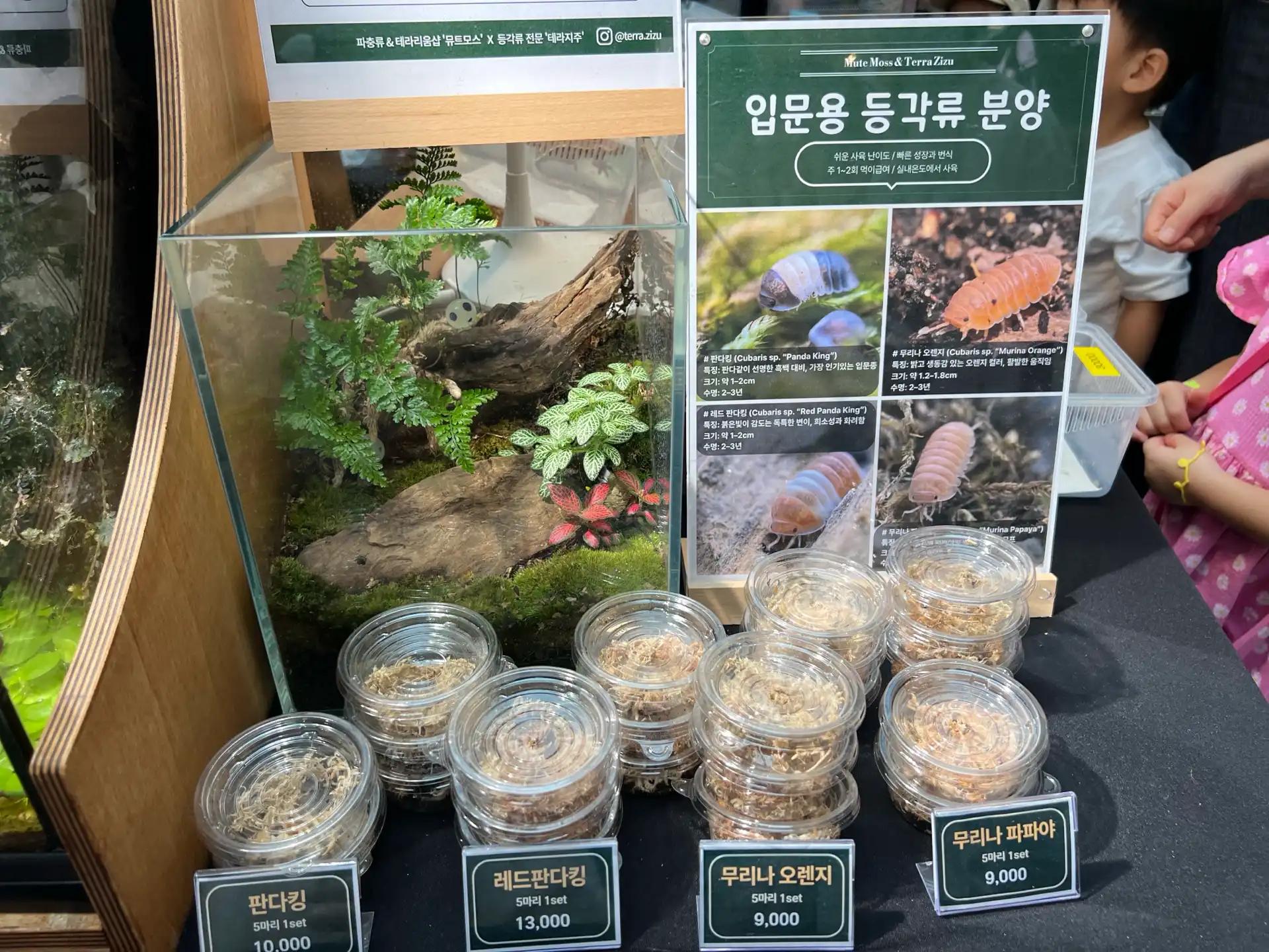 크루톡 이미지 12