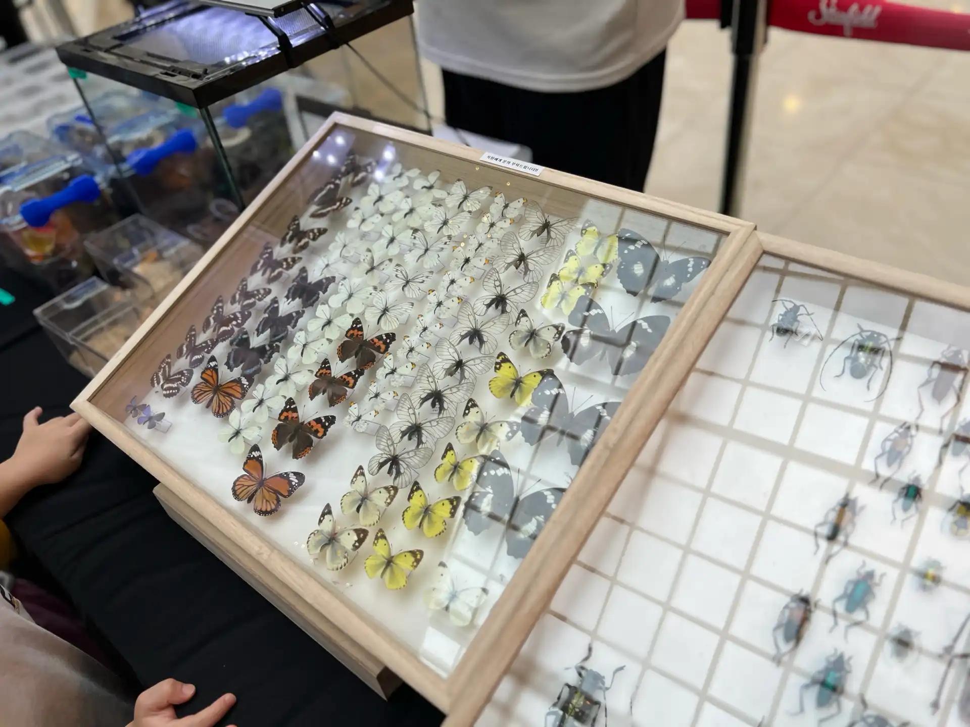 크루톡 이미지 8