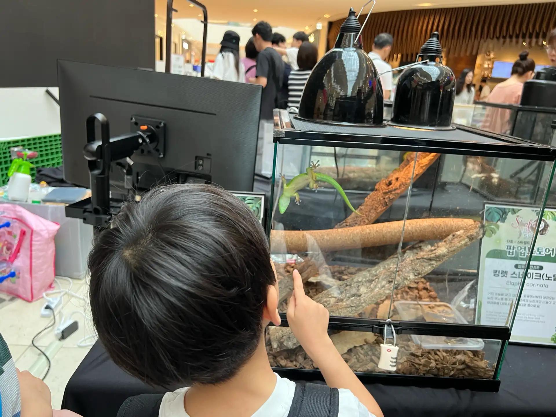 크루톡 이미지 9