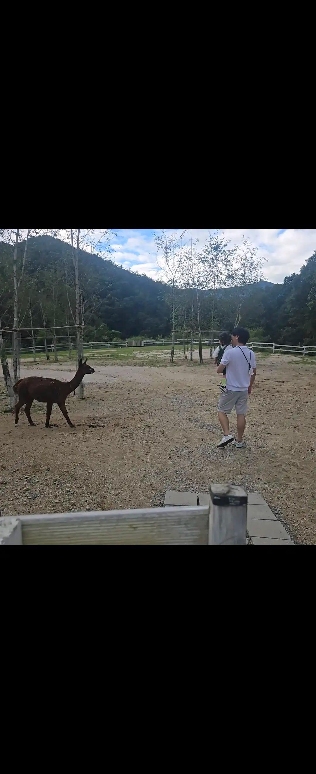 크루톡 이미지 4