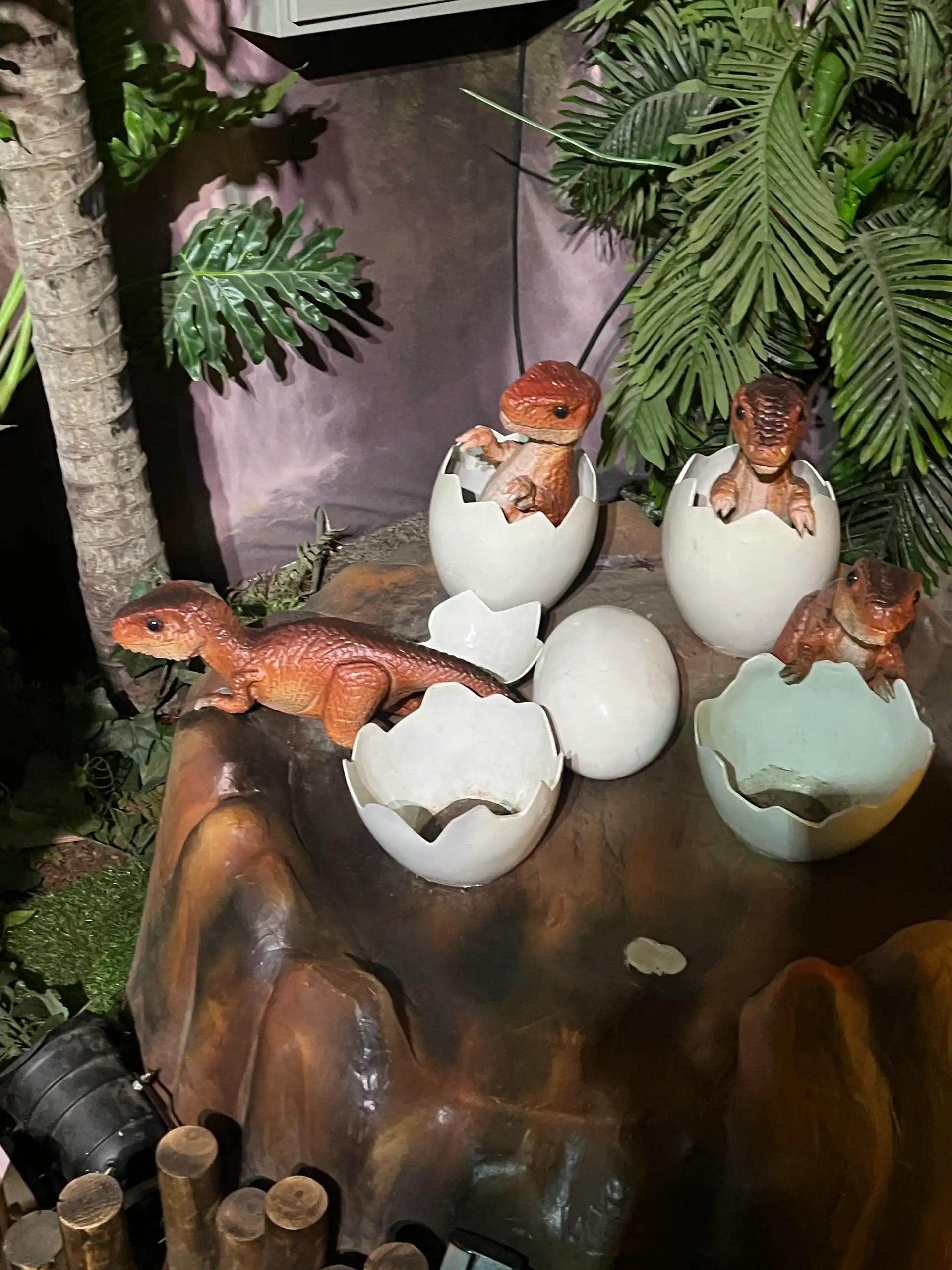 크루톡 이미지 14