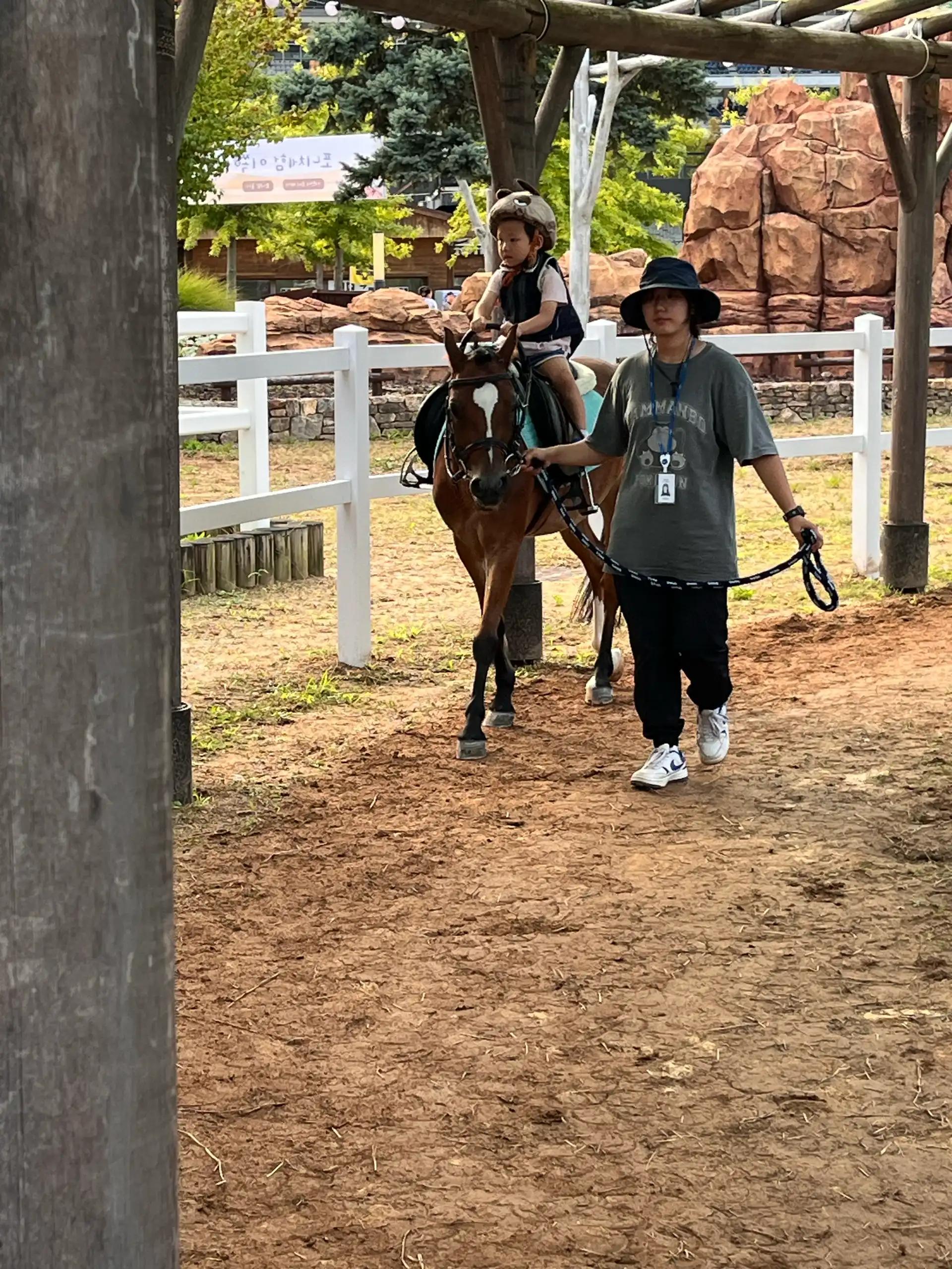 크루톡 이미지 1