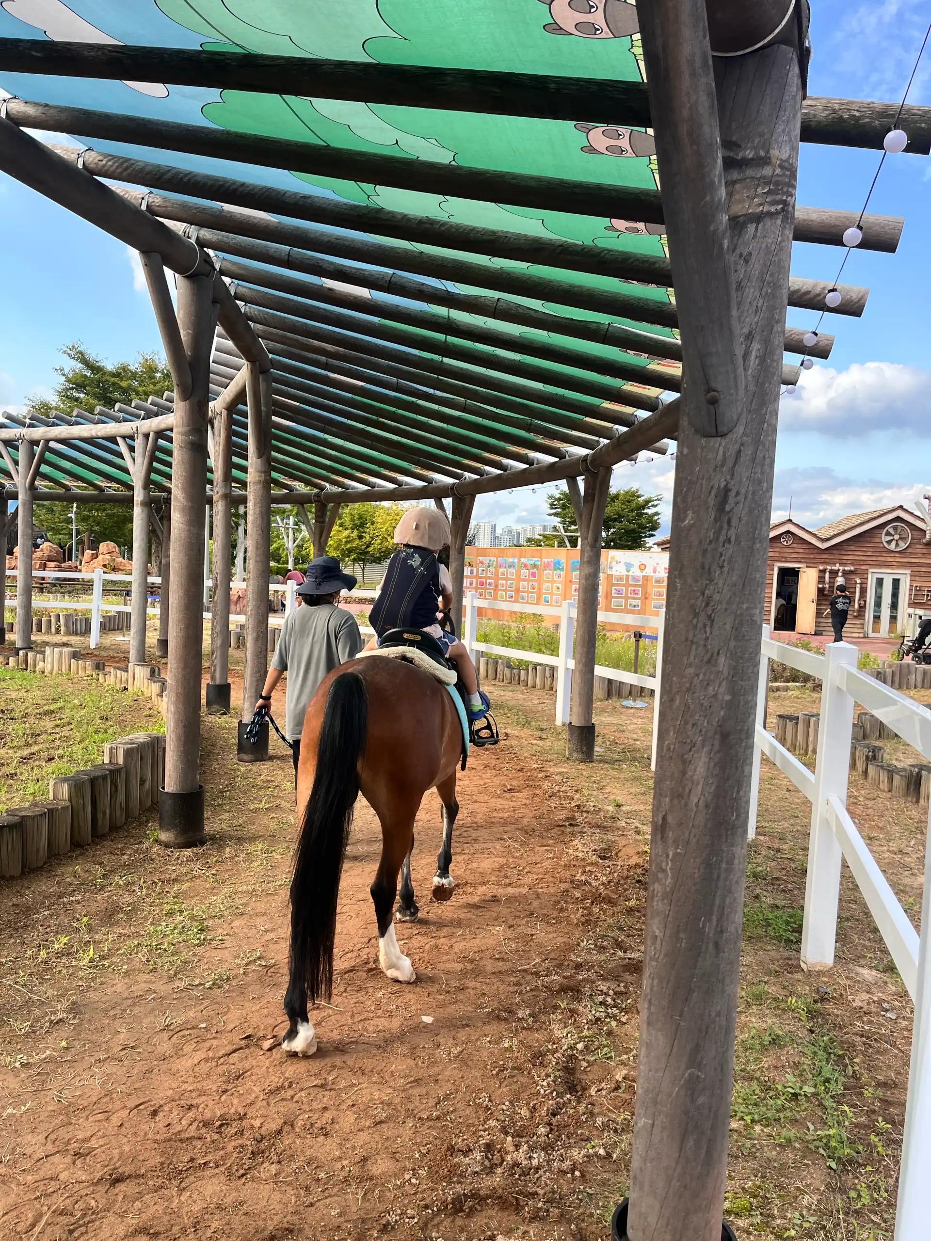 크루톡 이미지 2