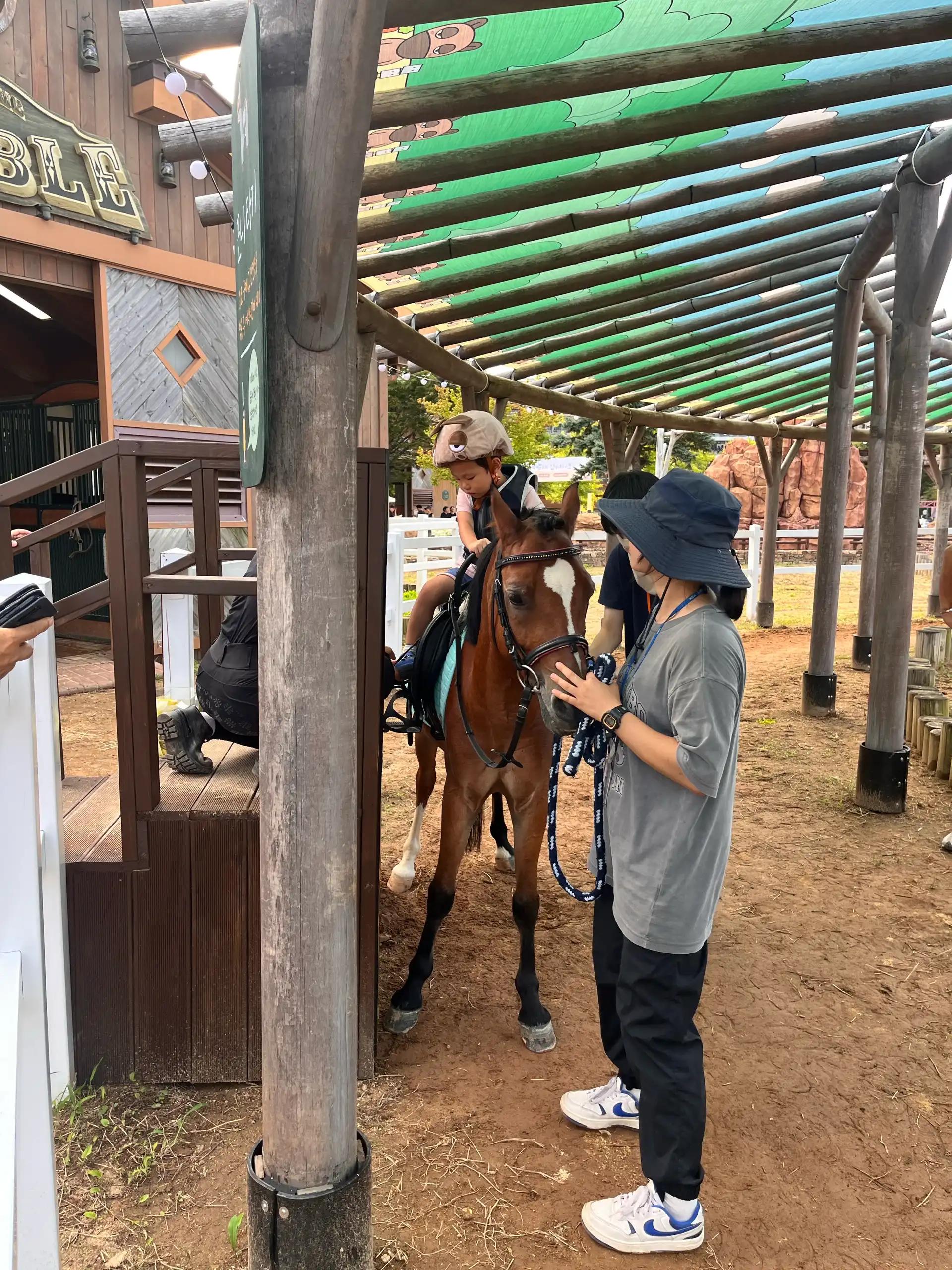 크루톡 이미지 3