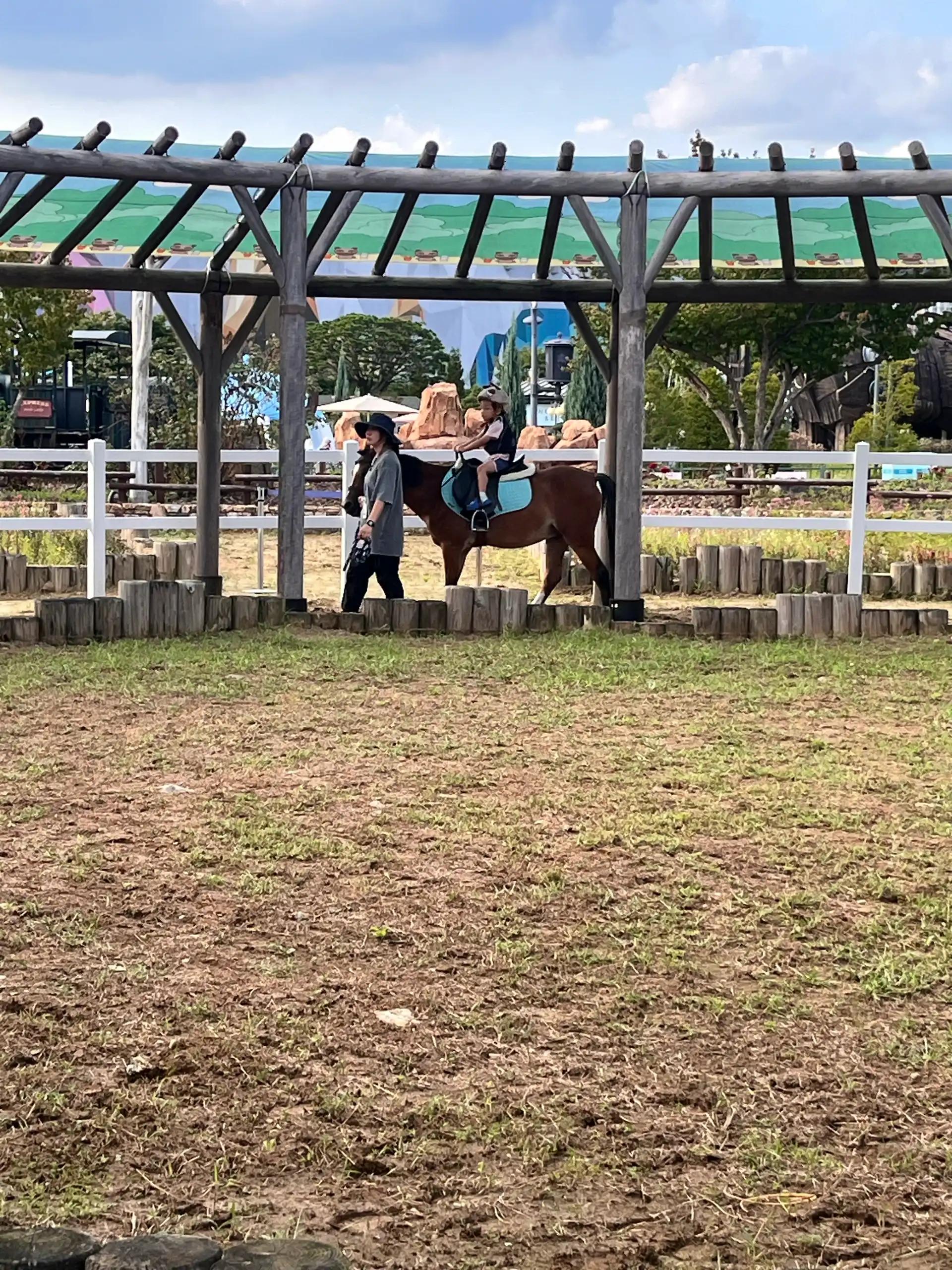 크루톡 이미지 4