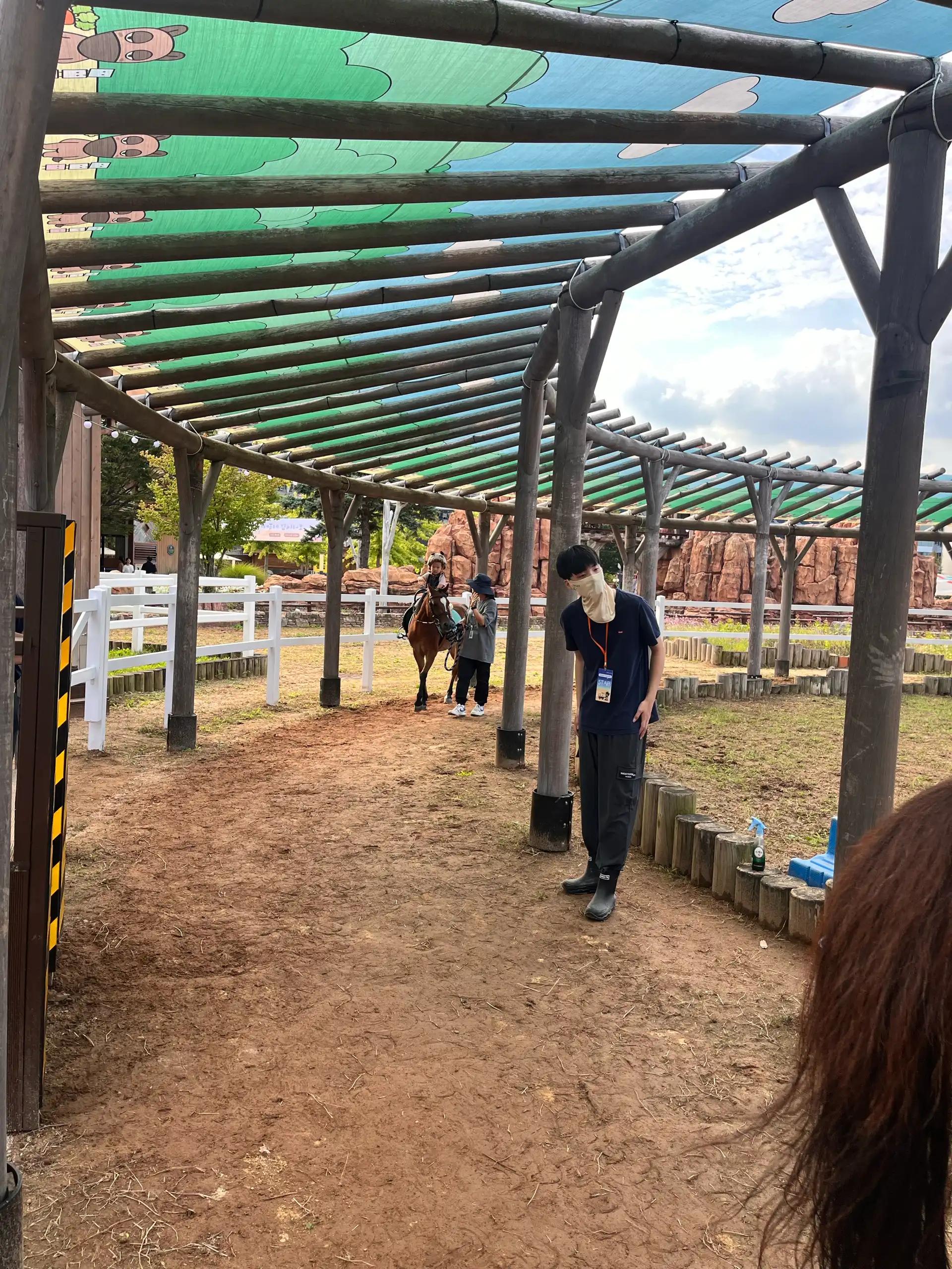 크루톡 이미지 5