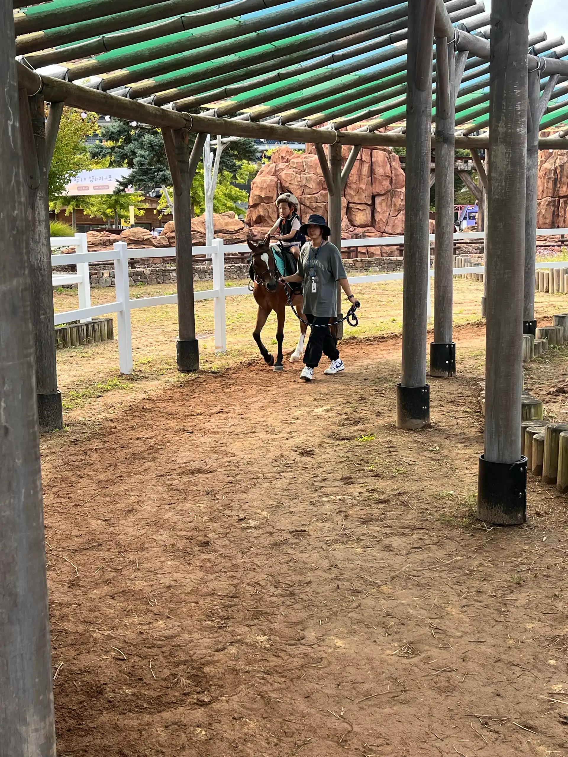 크루톡 이미지 6