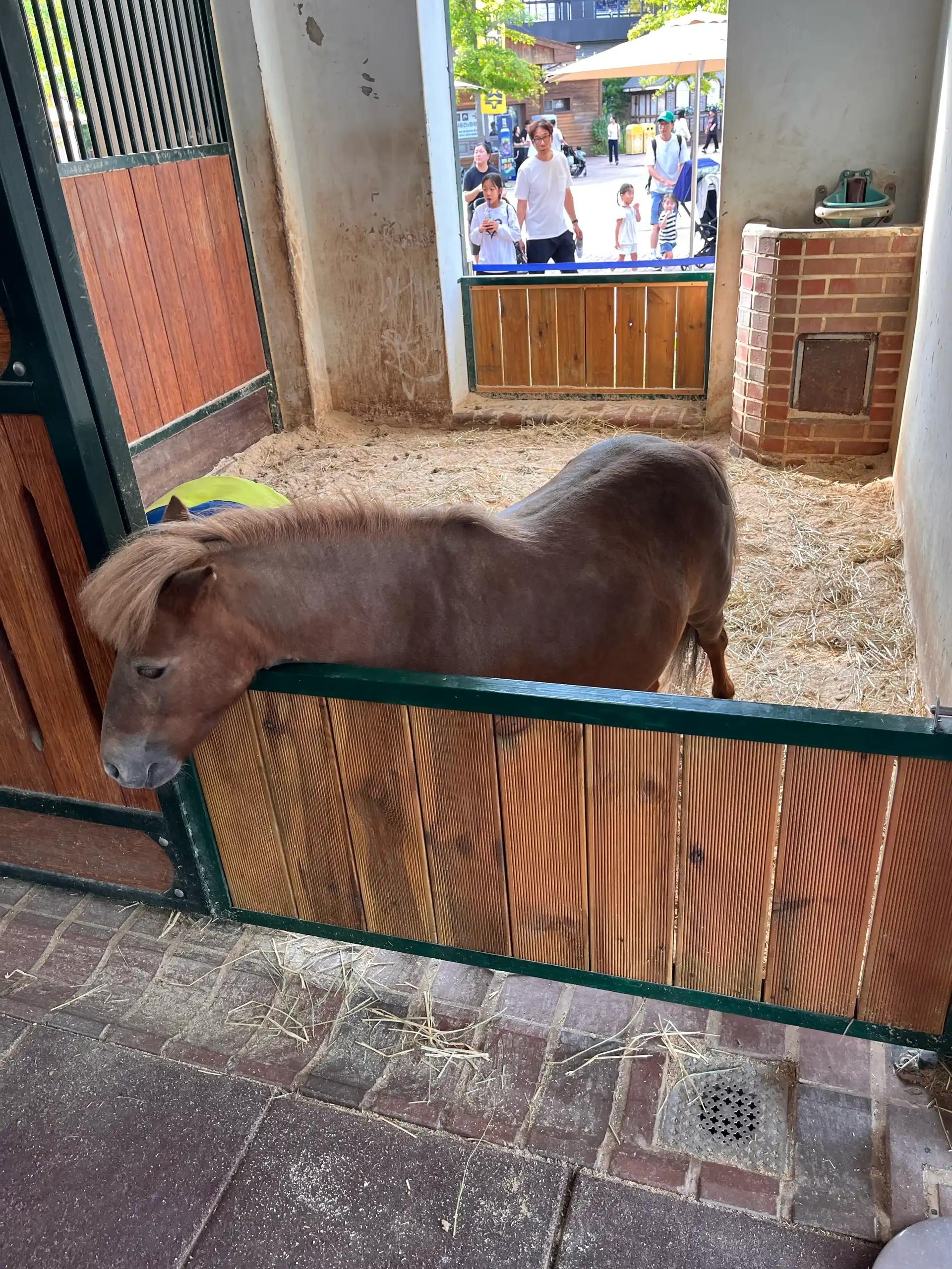 크루톡 이미지 7