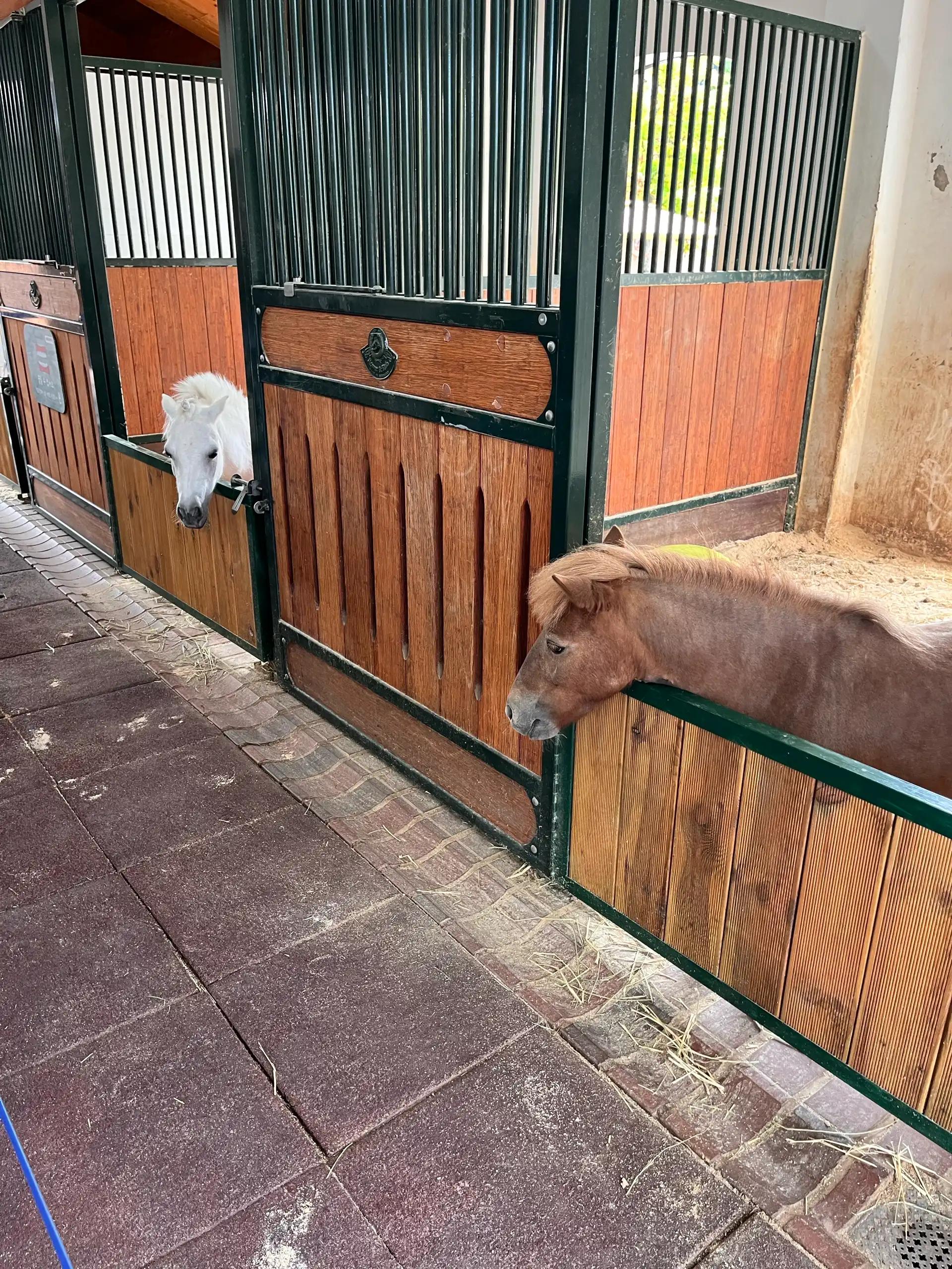 크루톡 이미지 8