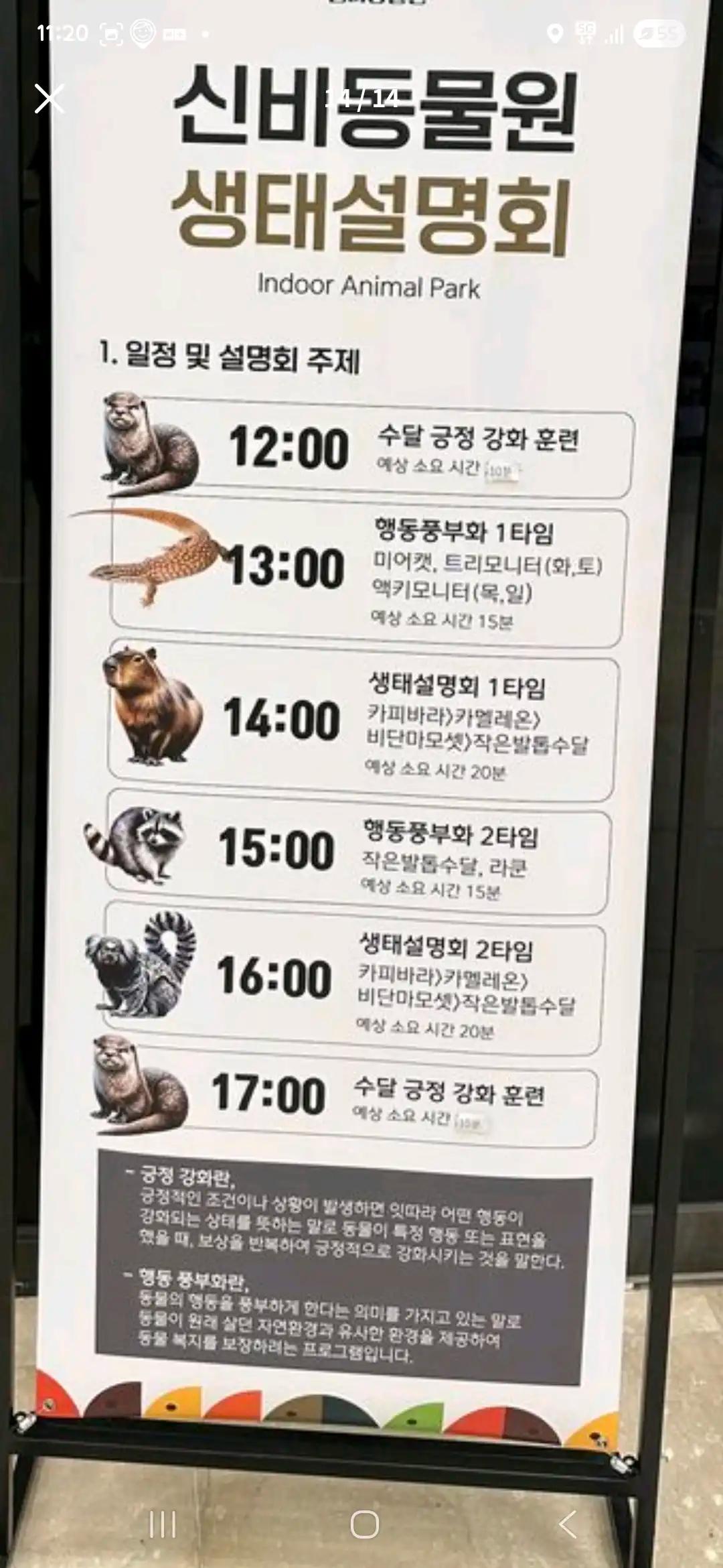 크루톡 이미지 4