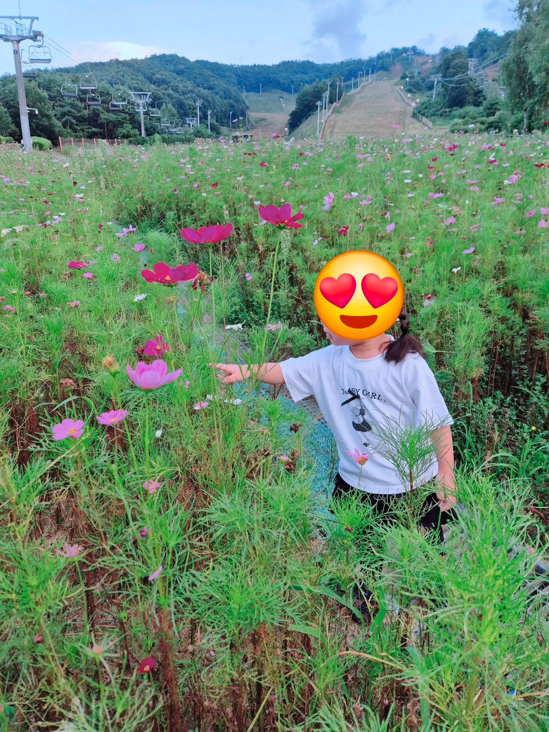 크루톡 이미지 3