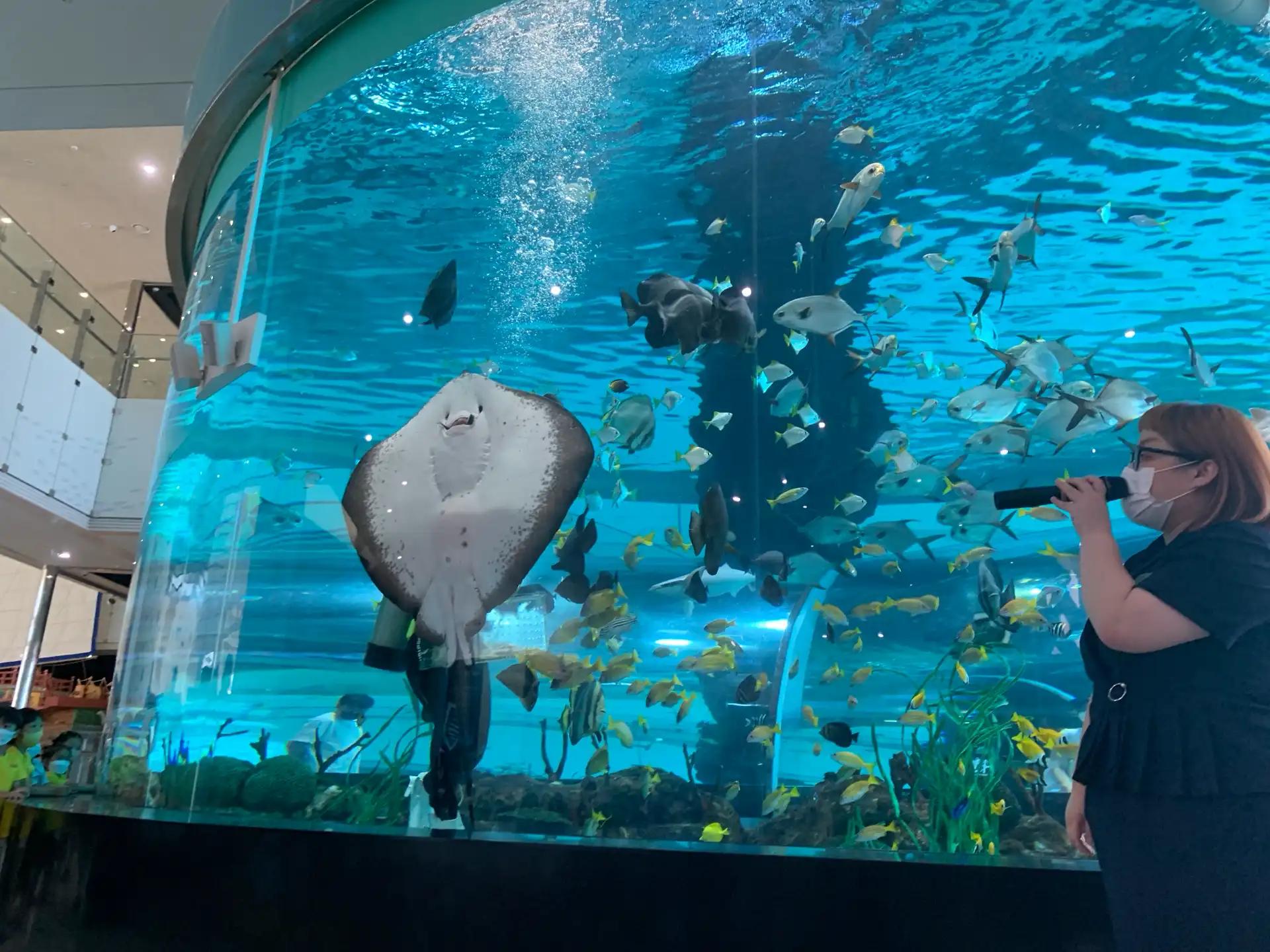 크루톡 이미지 4