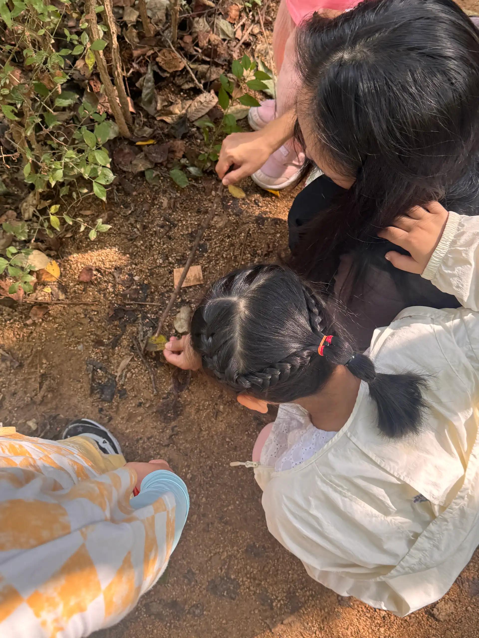크루톡 이미지 1