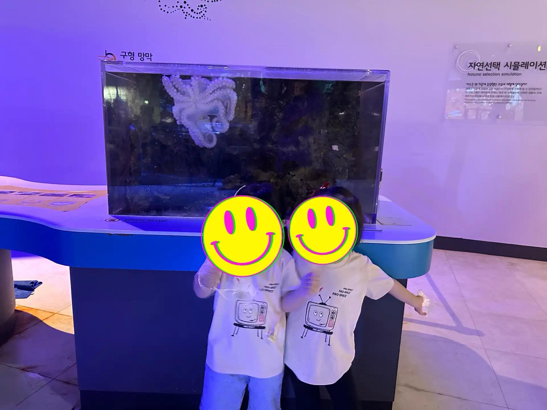 크루톡 이미지 3