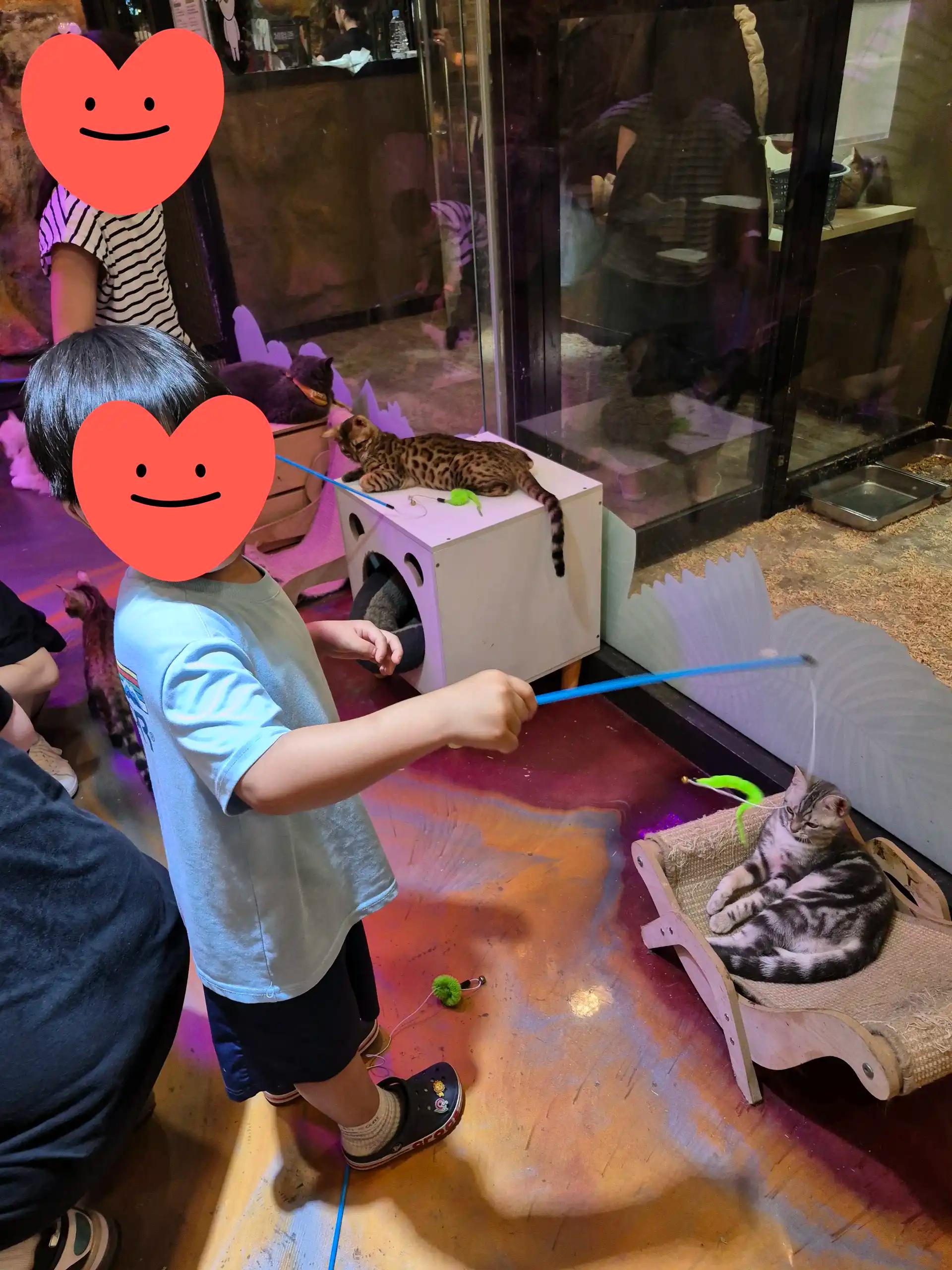 크루톡 이미지 2