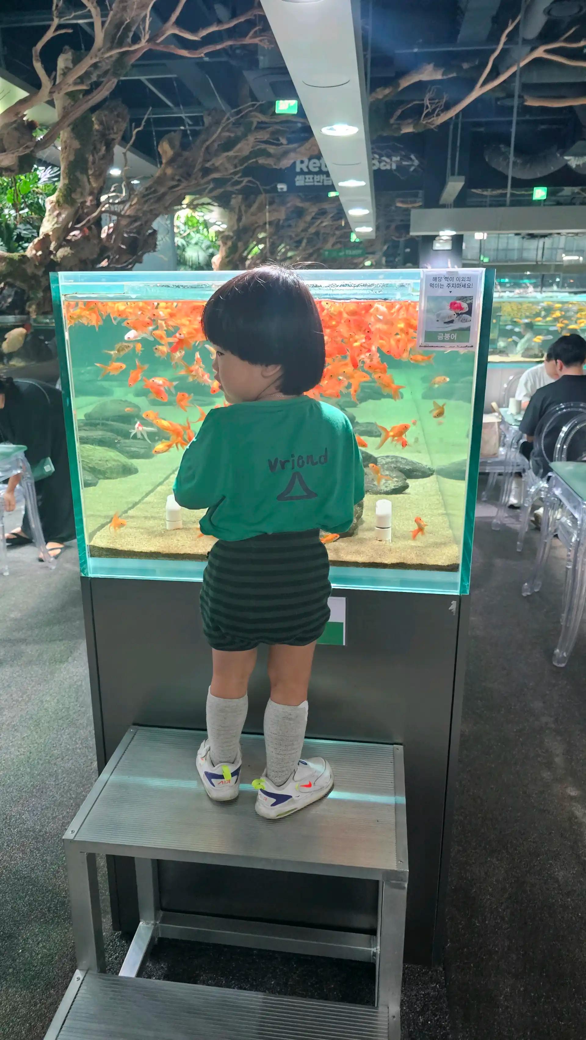 크루톡 이미지 1