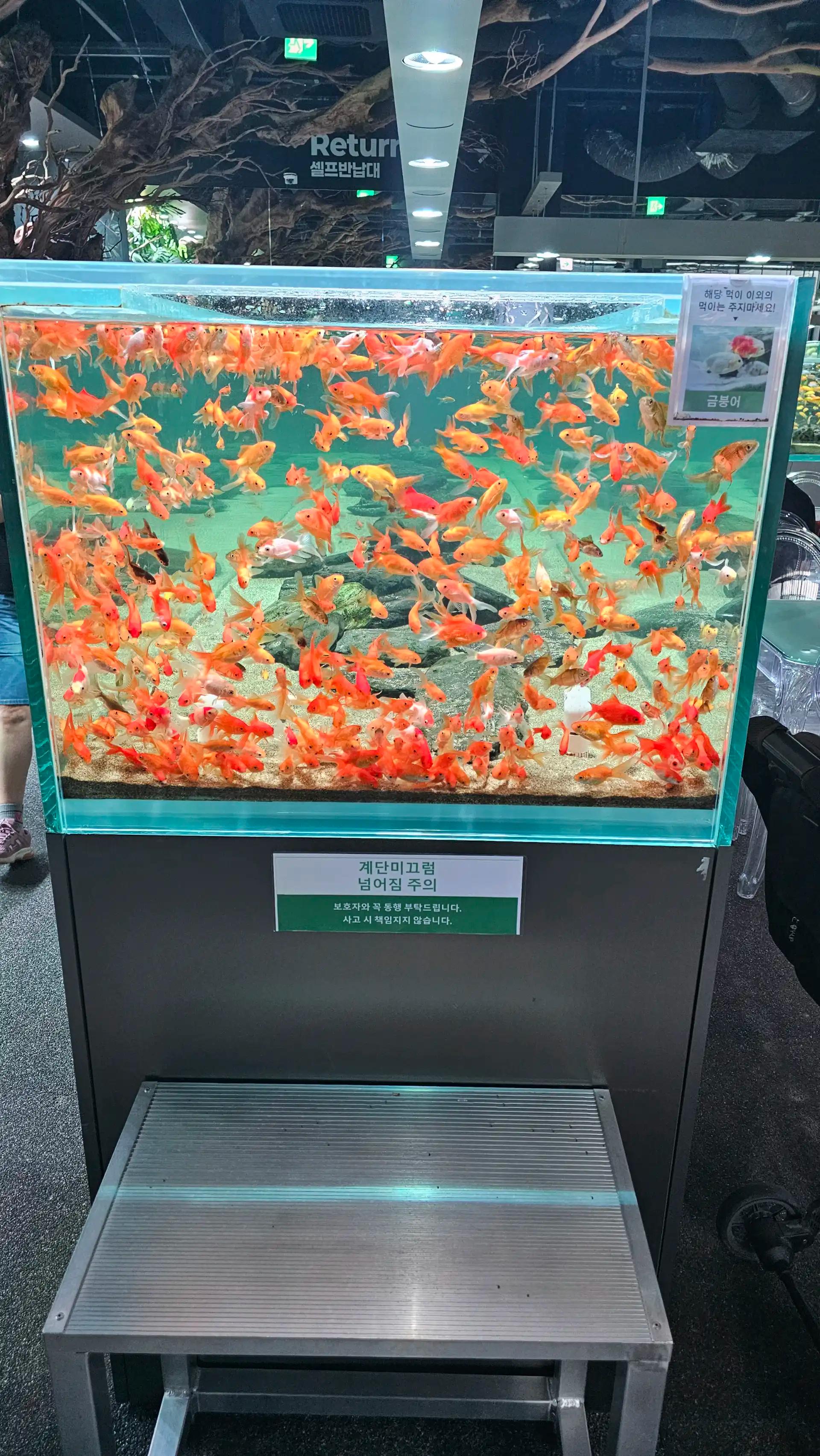 크루톡 이미지 4