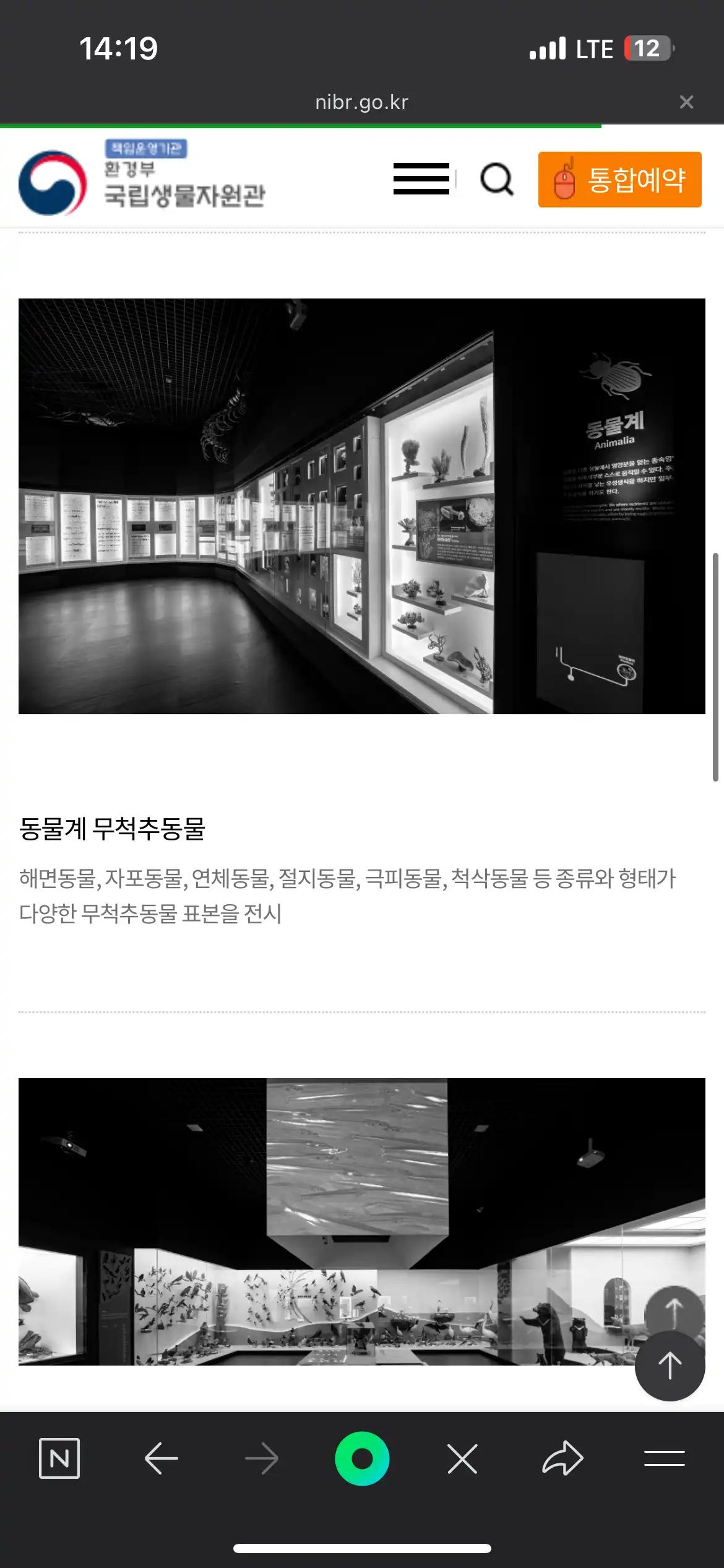 크루톡 이미지 3