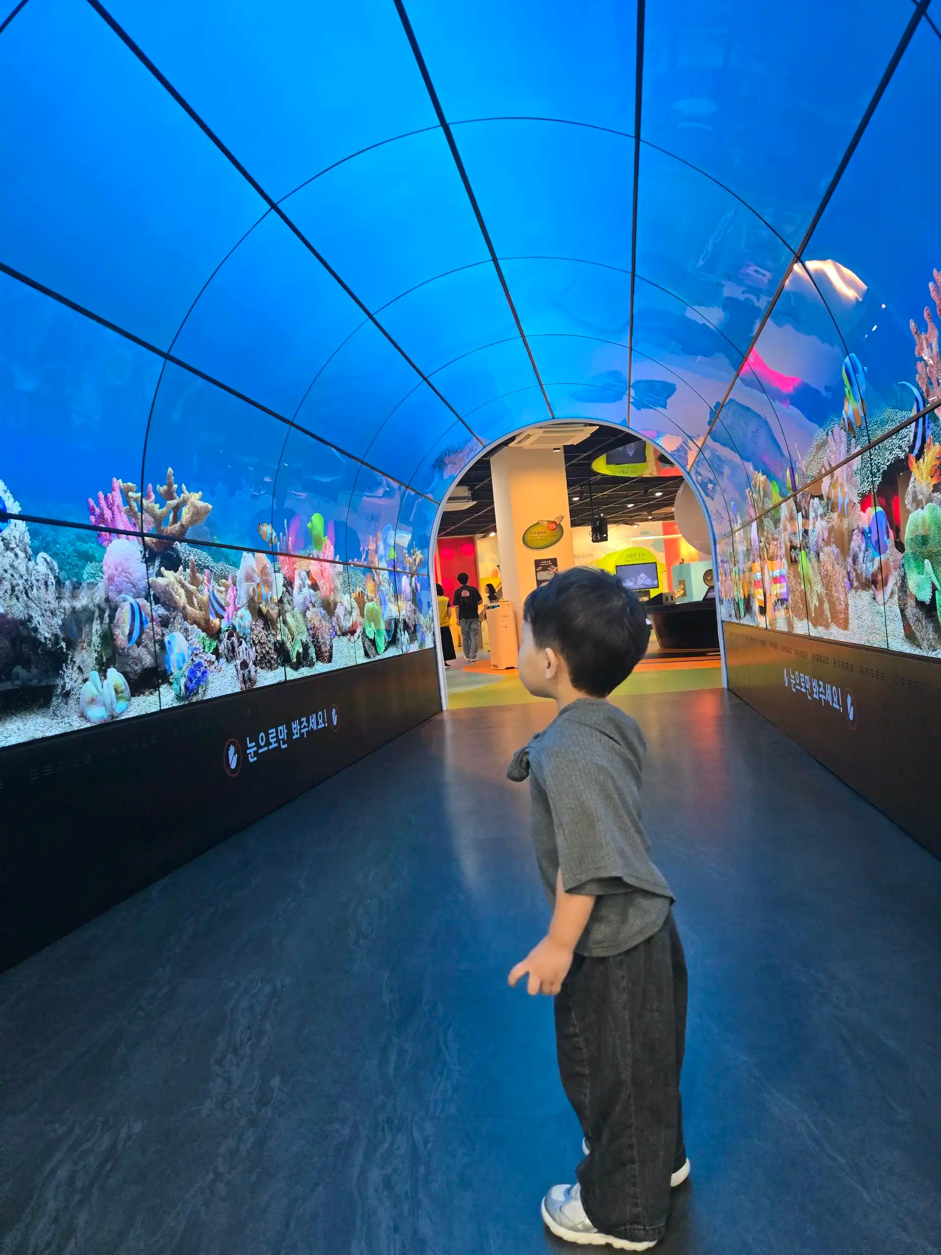 크루톡 이미지 1