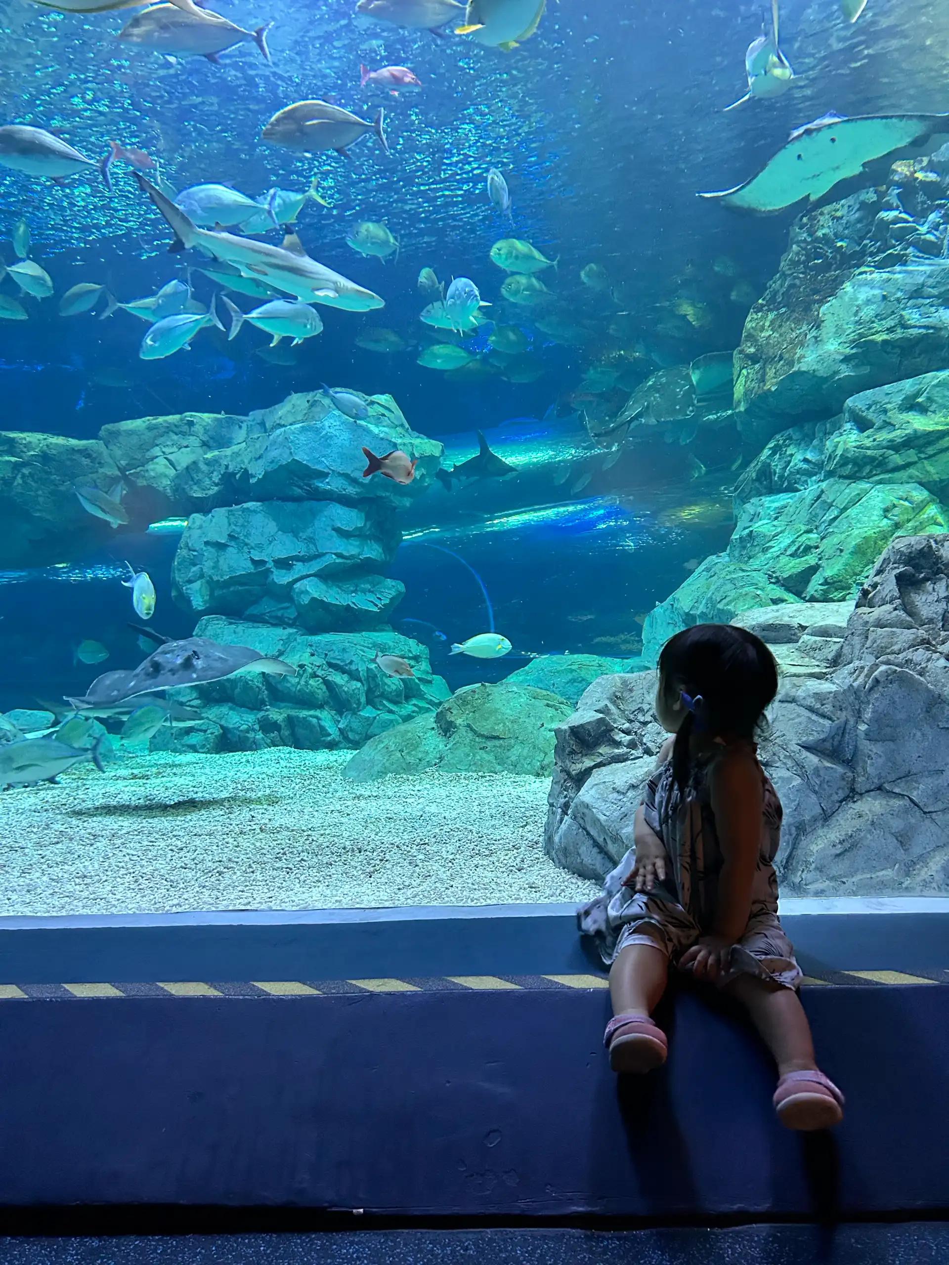 크루톡 이미지 1