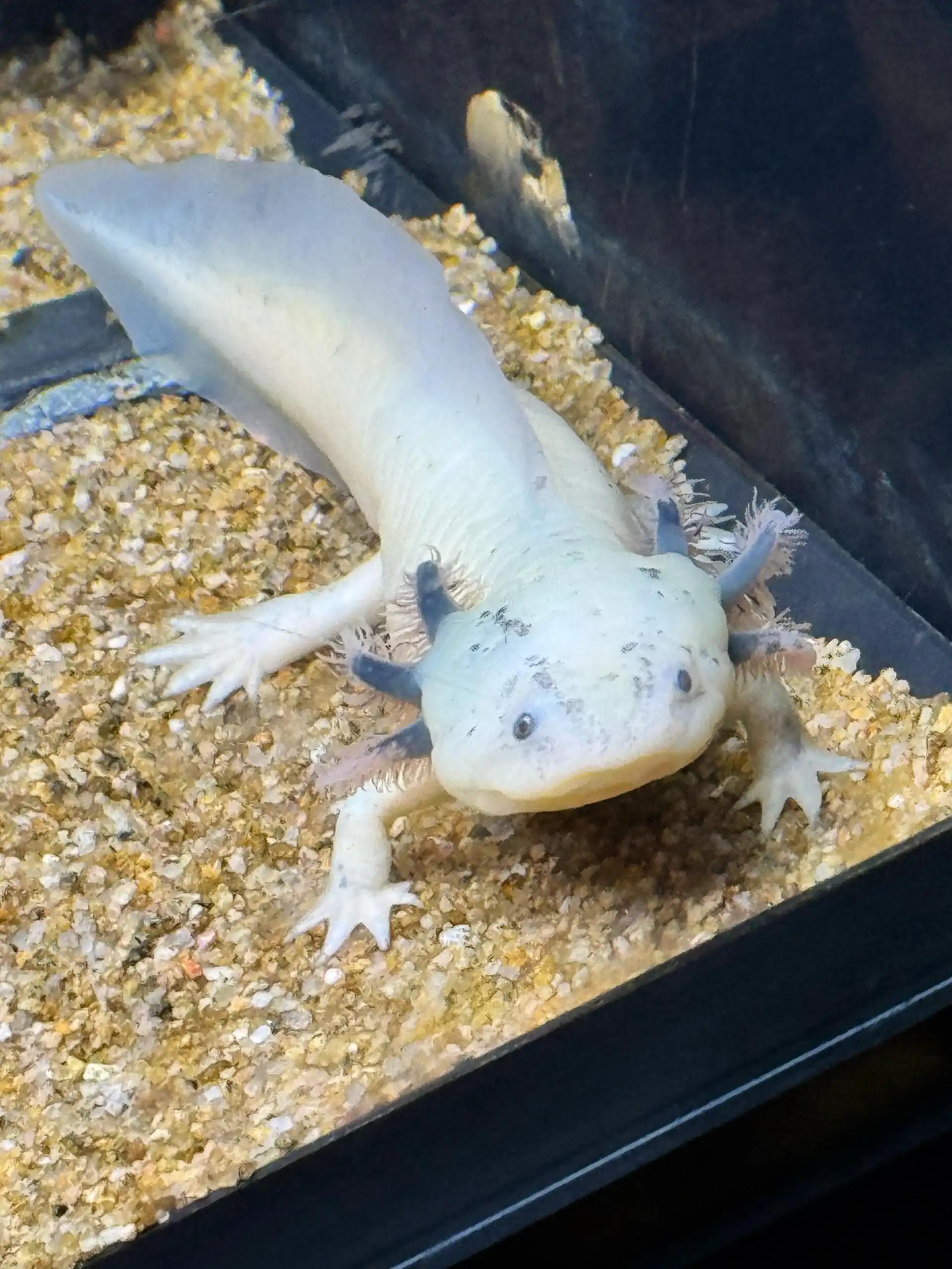 크루톡 이미지 8
