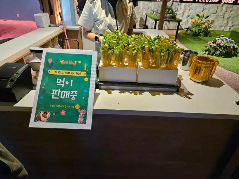 크루톡 이미지 4