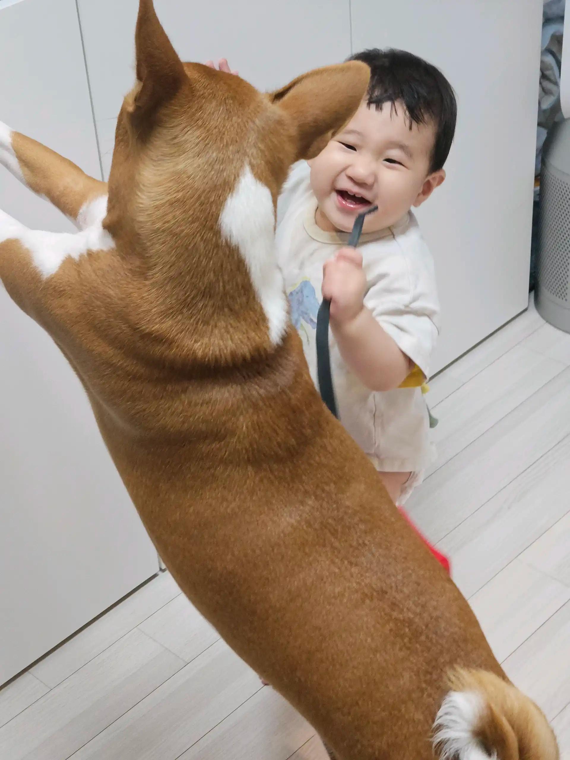 크루톡 이미지 3